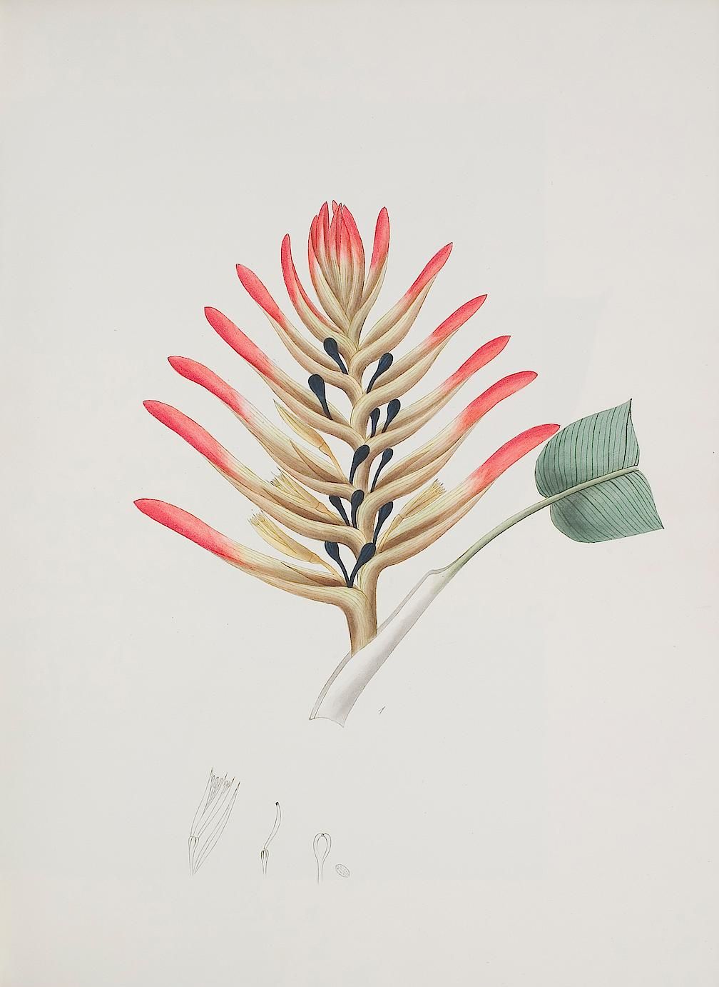 no full size  illustration available (3a)