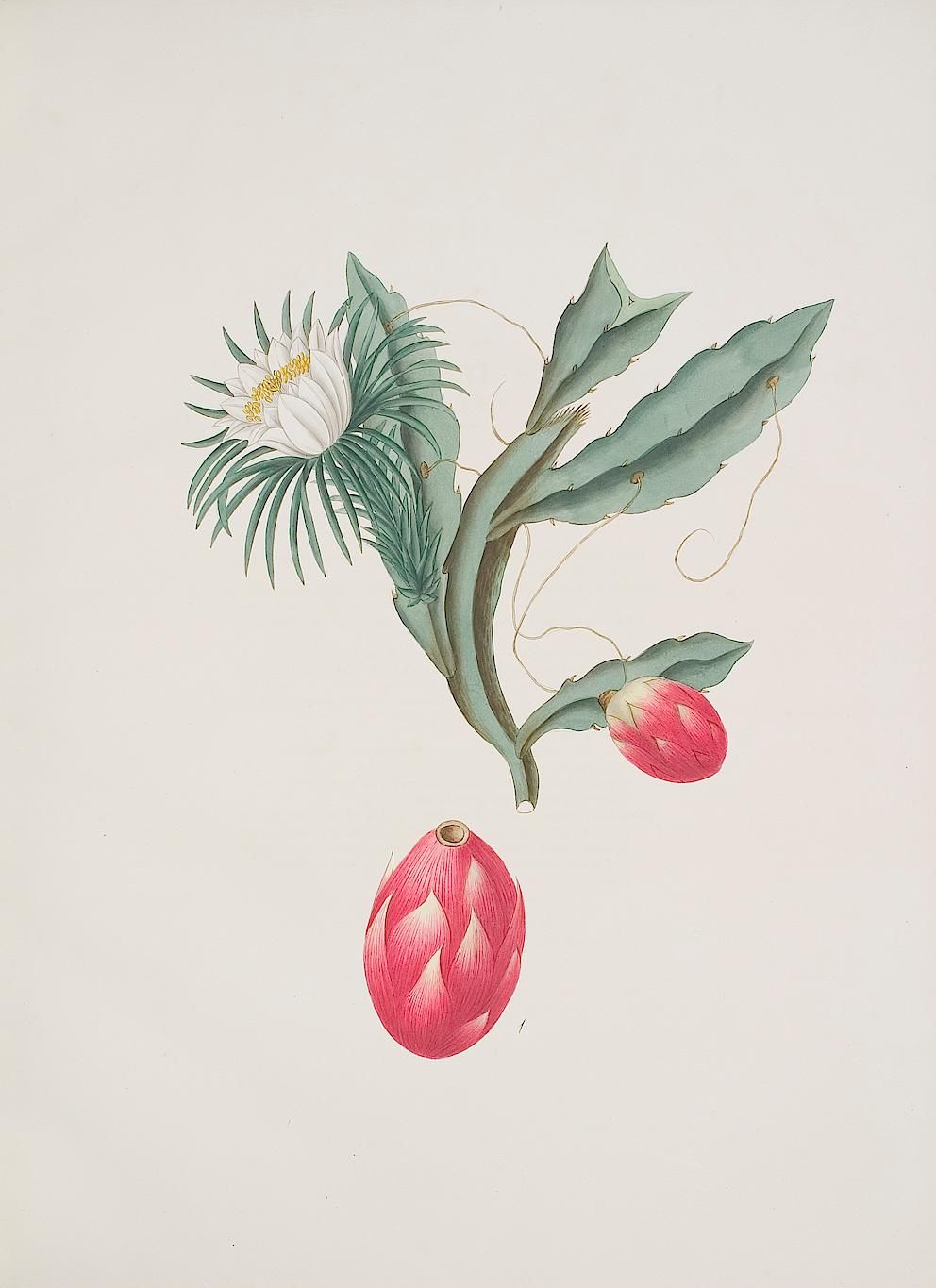 no full size  illustration available (3a)