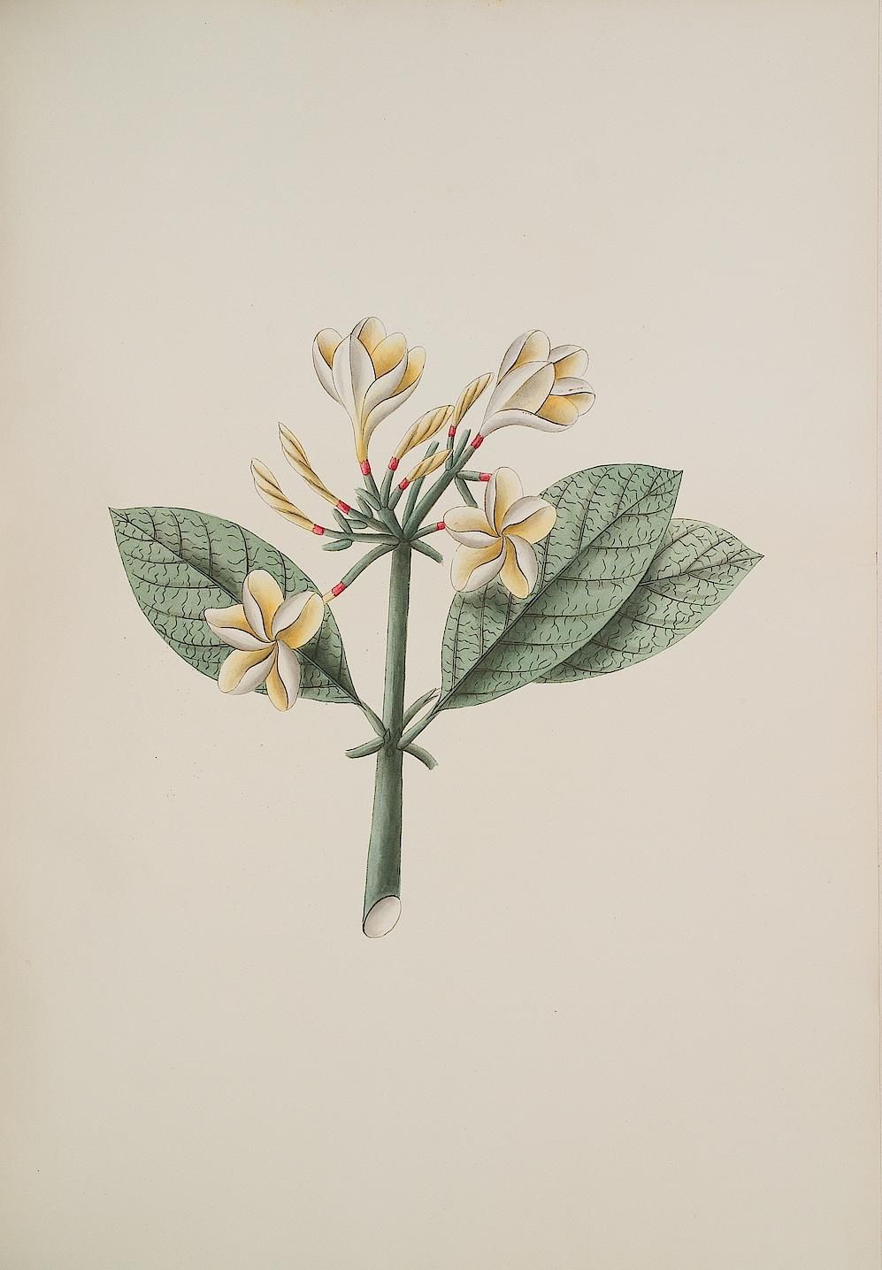 no full size  illustration available (3a)