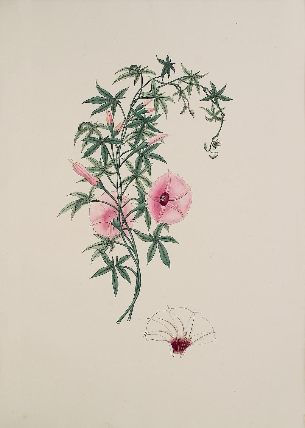 no full size  illustration available (3a)