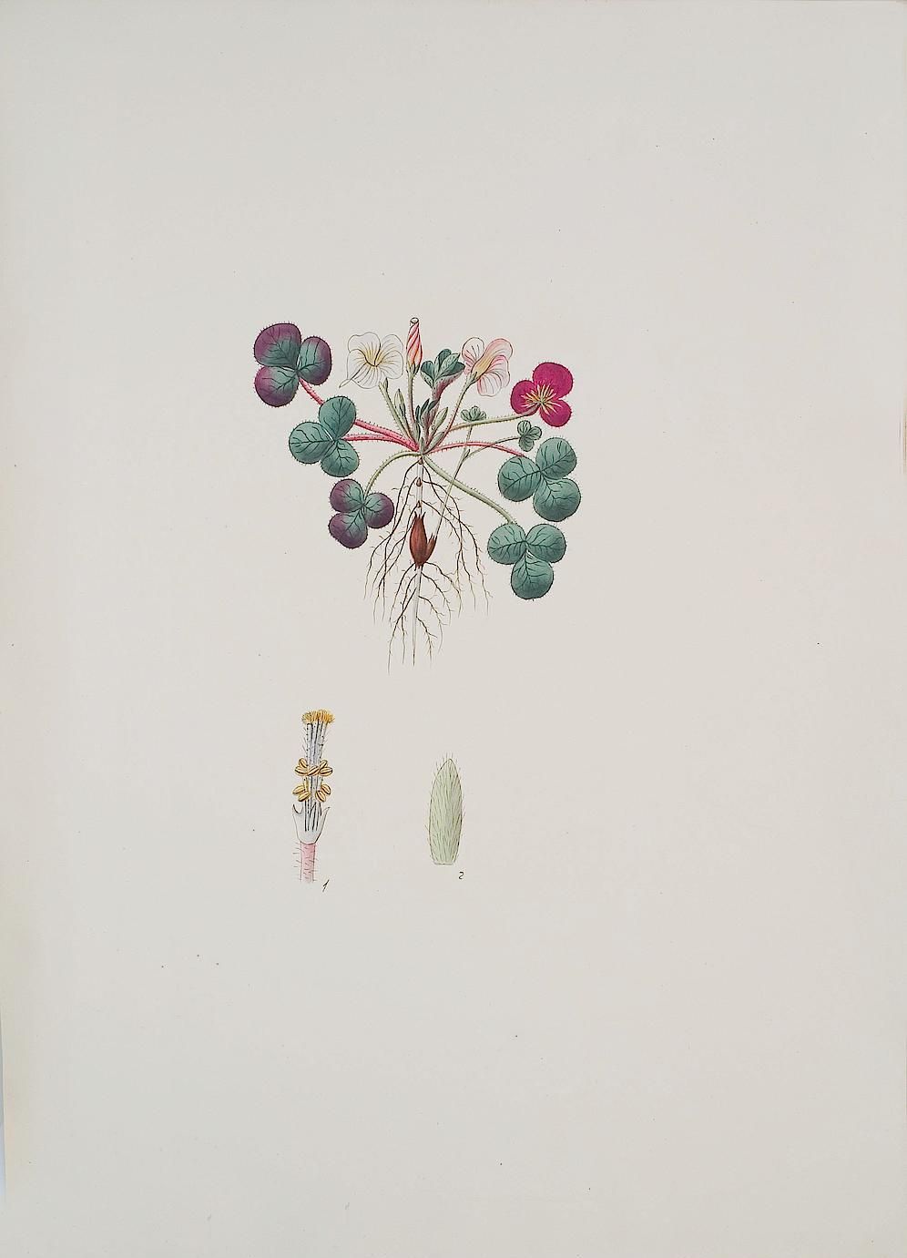 no full size  illustration available (3a)