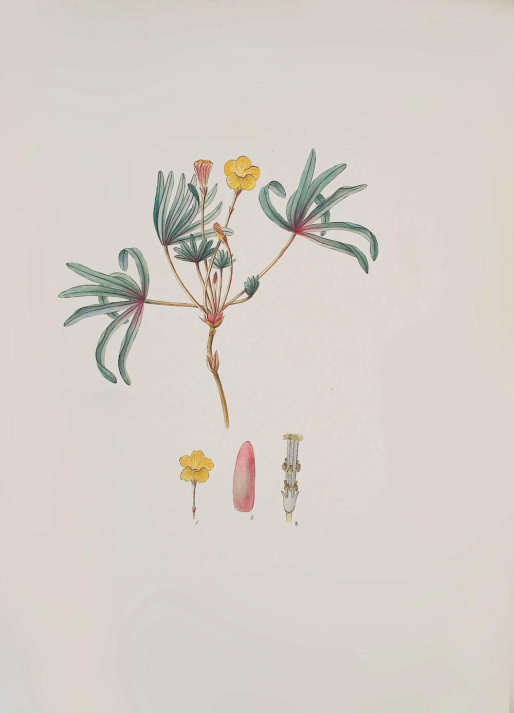 no full size  illustration available (3a)