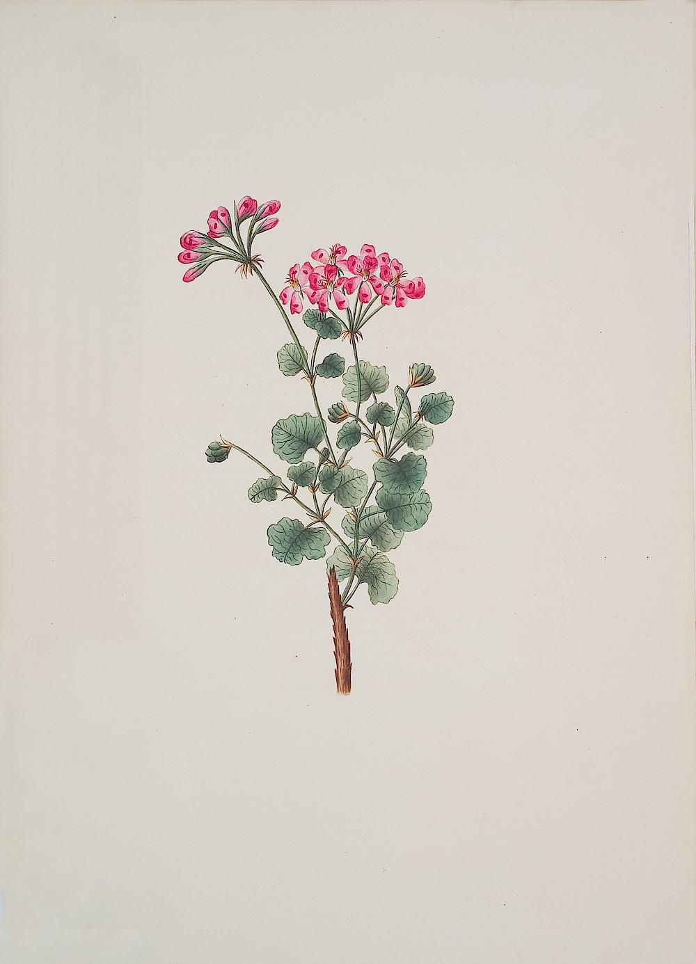 no full size  illustration available (3a)