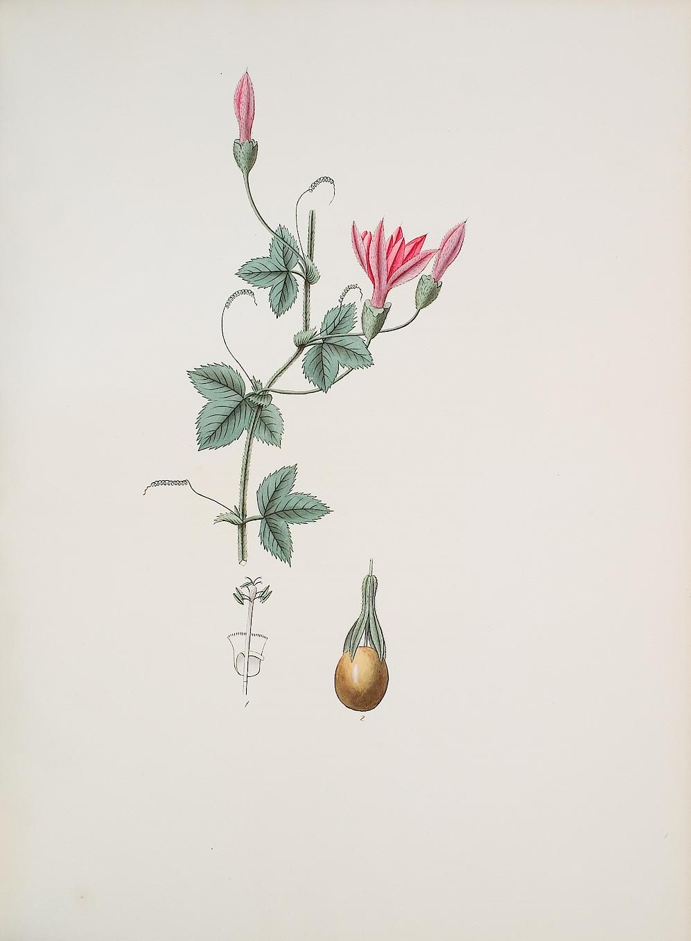 no full size  illustration available (3a)