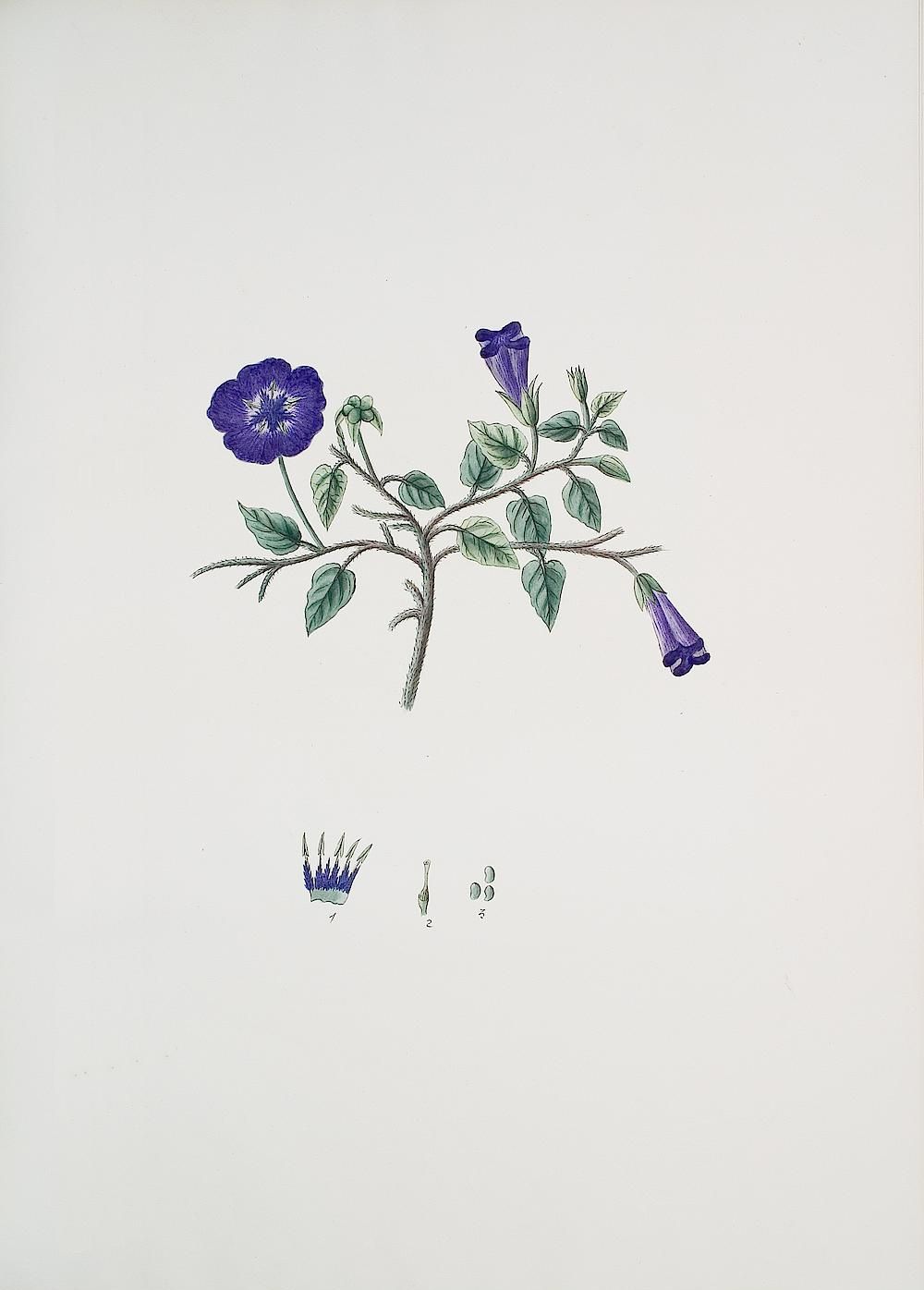 no full size  illustration available (3a)