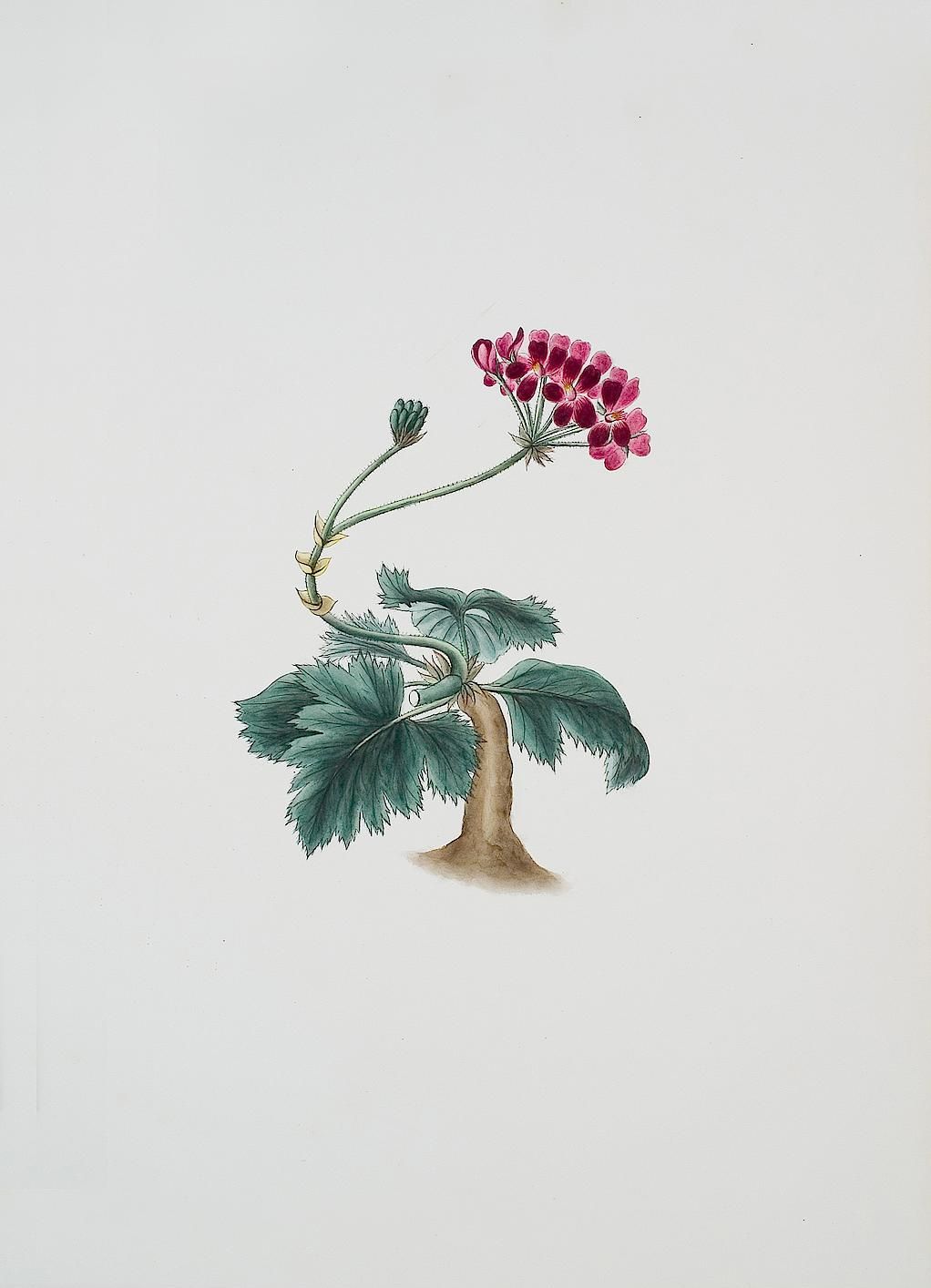 no full size  illustration available (3a)