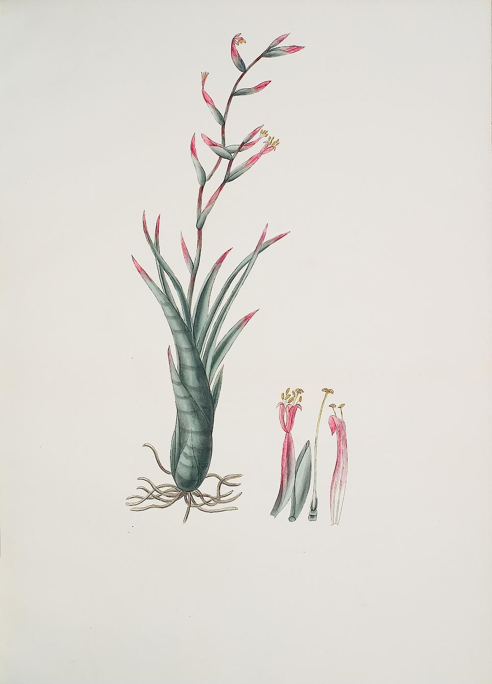 no full size  illustration available (3a)