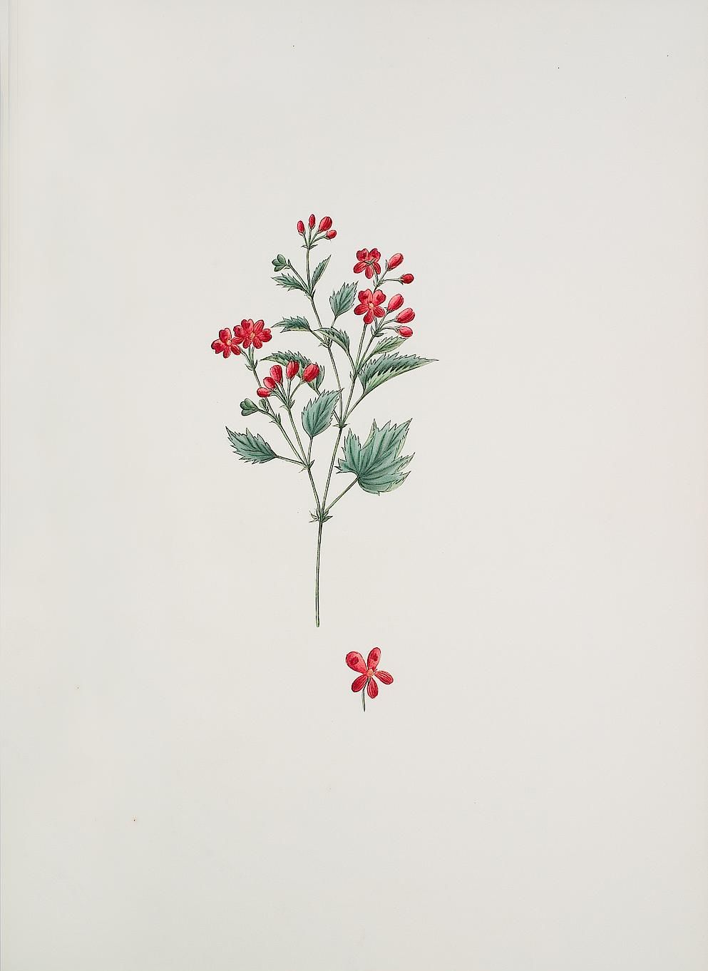 no full size  illustration available (3a)