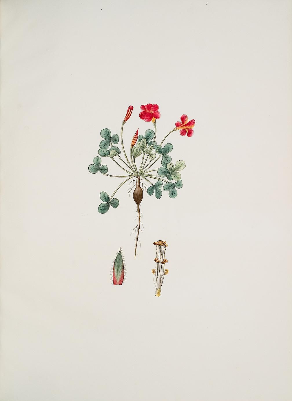 no full size  illustration available (3a)