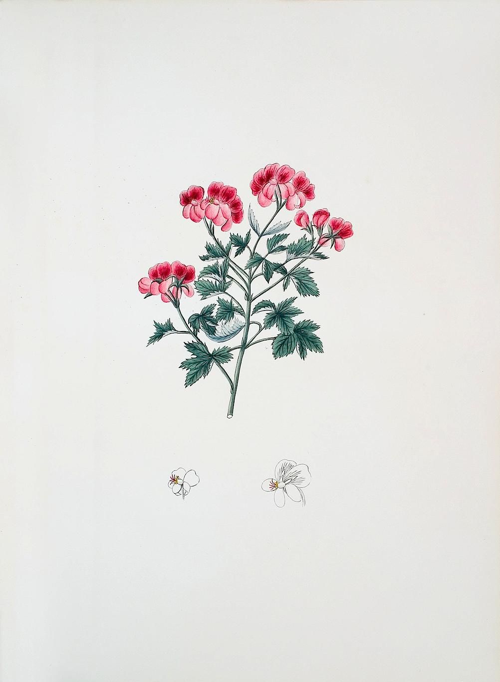 no full size  illustration available (3a)