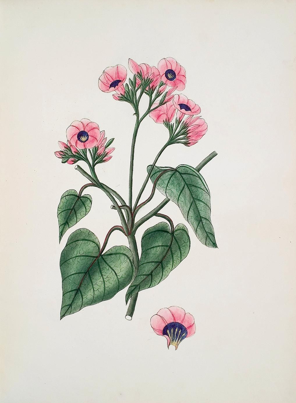 no full size  illustration available (3a)