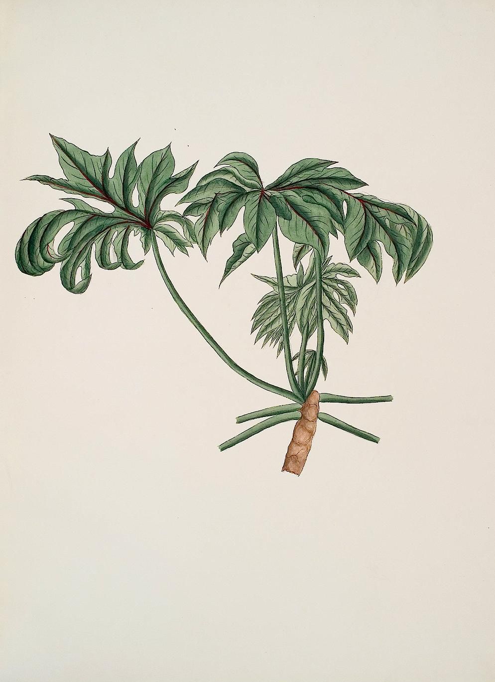 no full size  illustration available (3a)