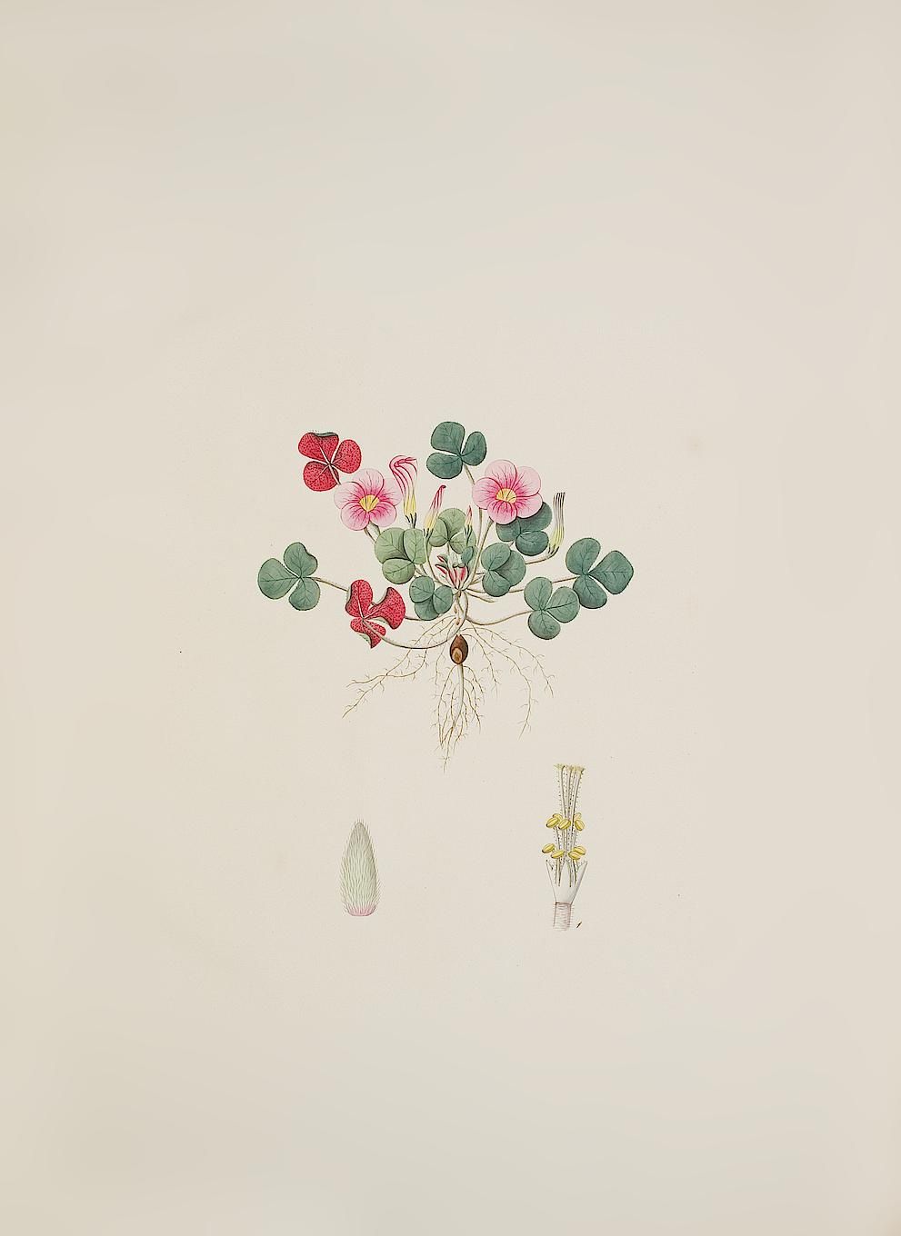 no full size  illustration available (3a)