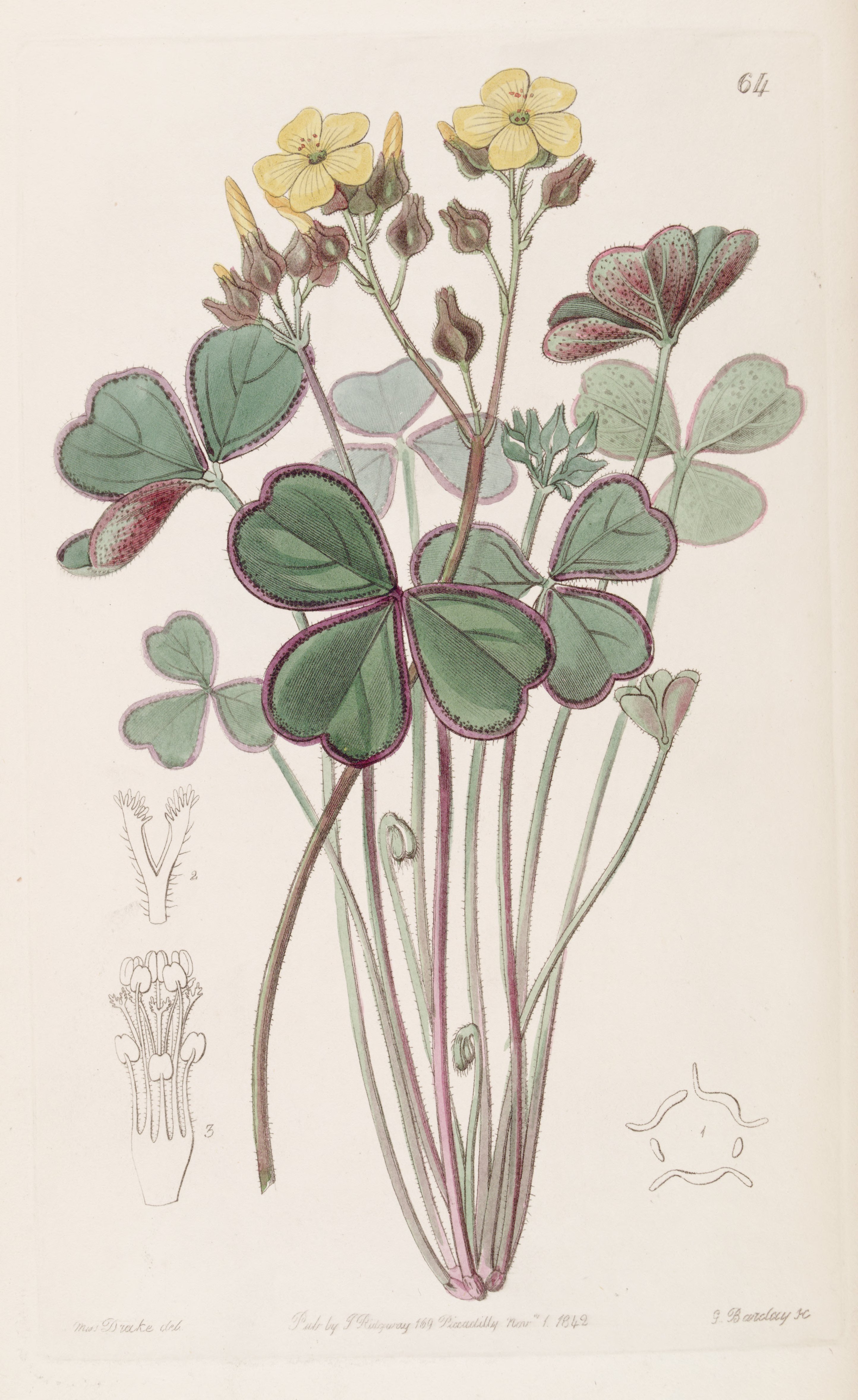 no full size  illustration available (3a)