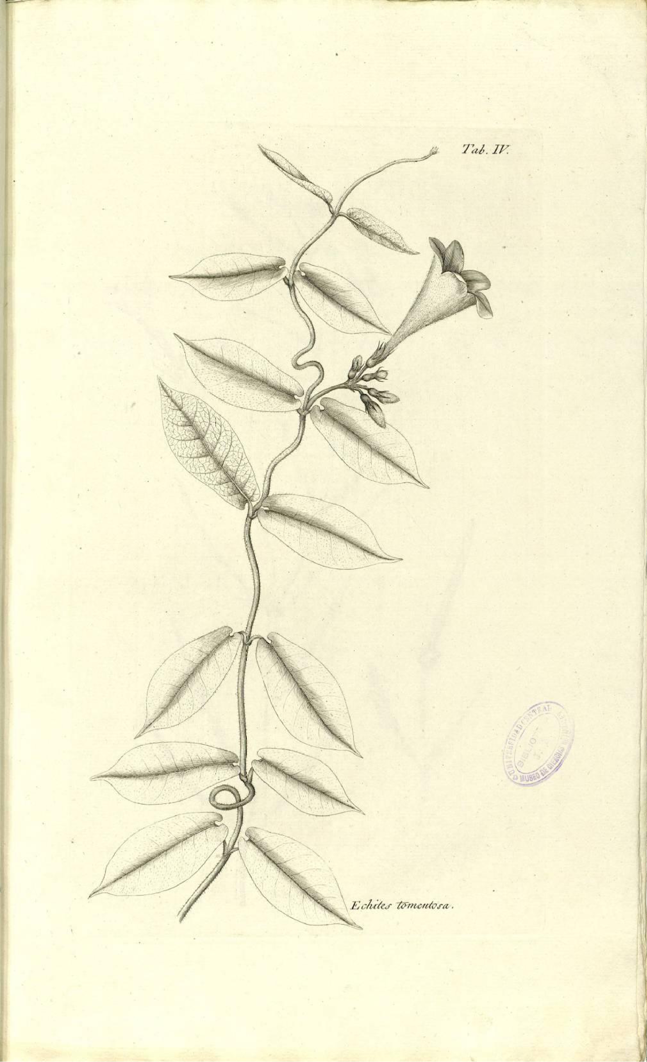 no full size  illustration available (3a)