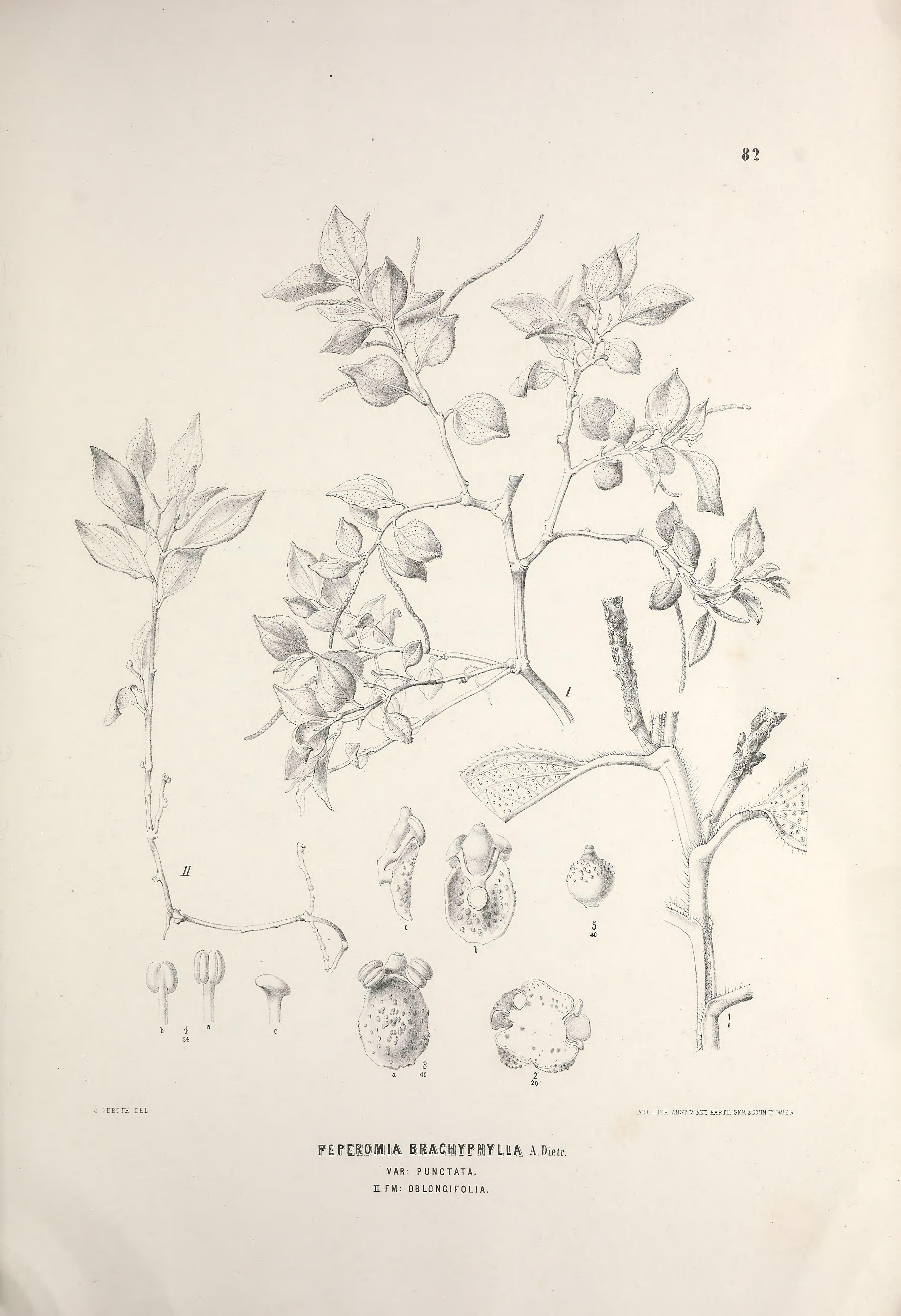 no full size  illustration available (3a)