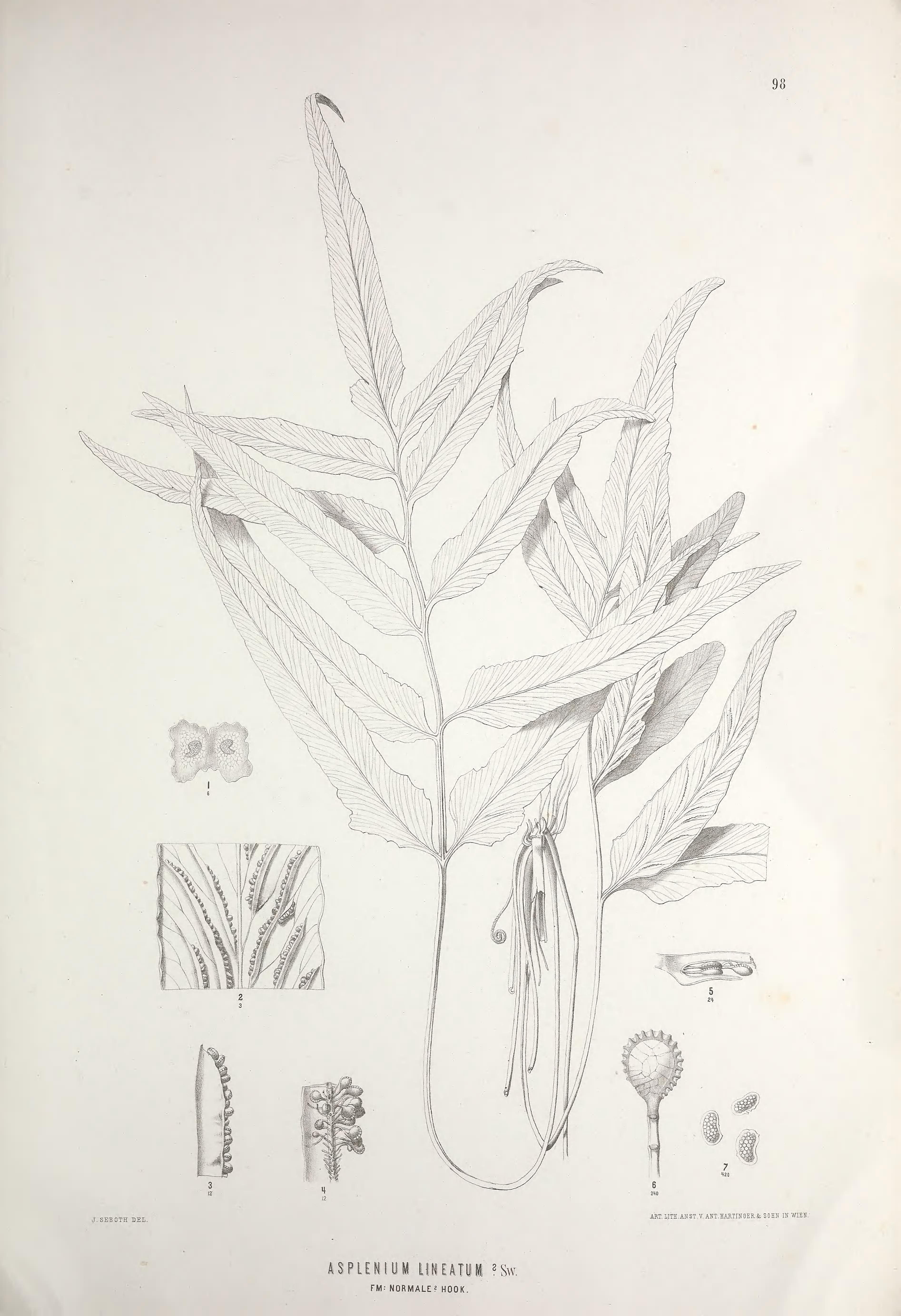 no full size  illustration available (3a)