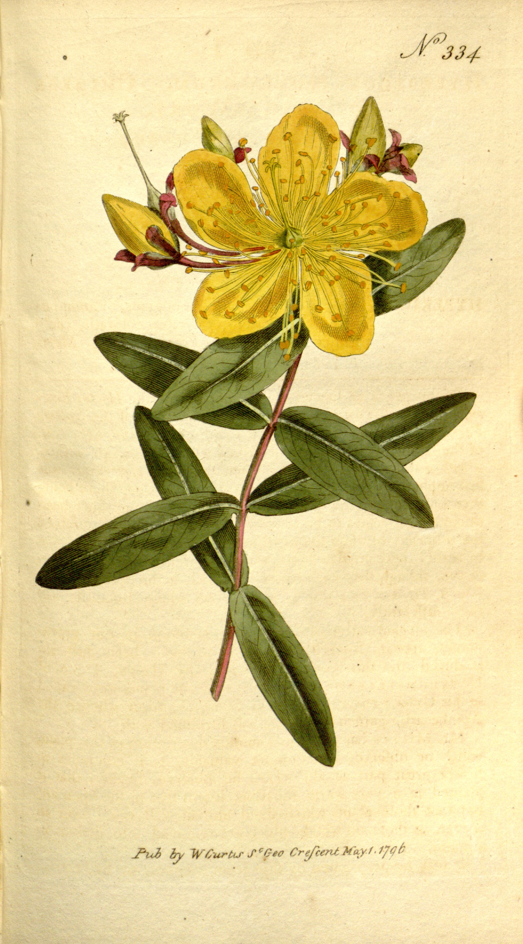 no full size  illustration available (3a)