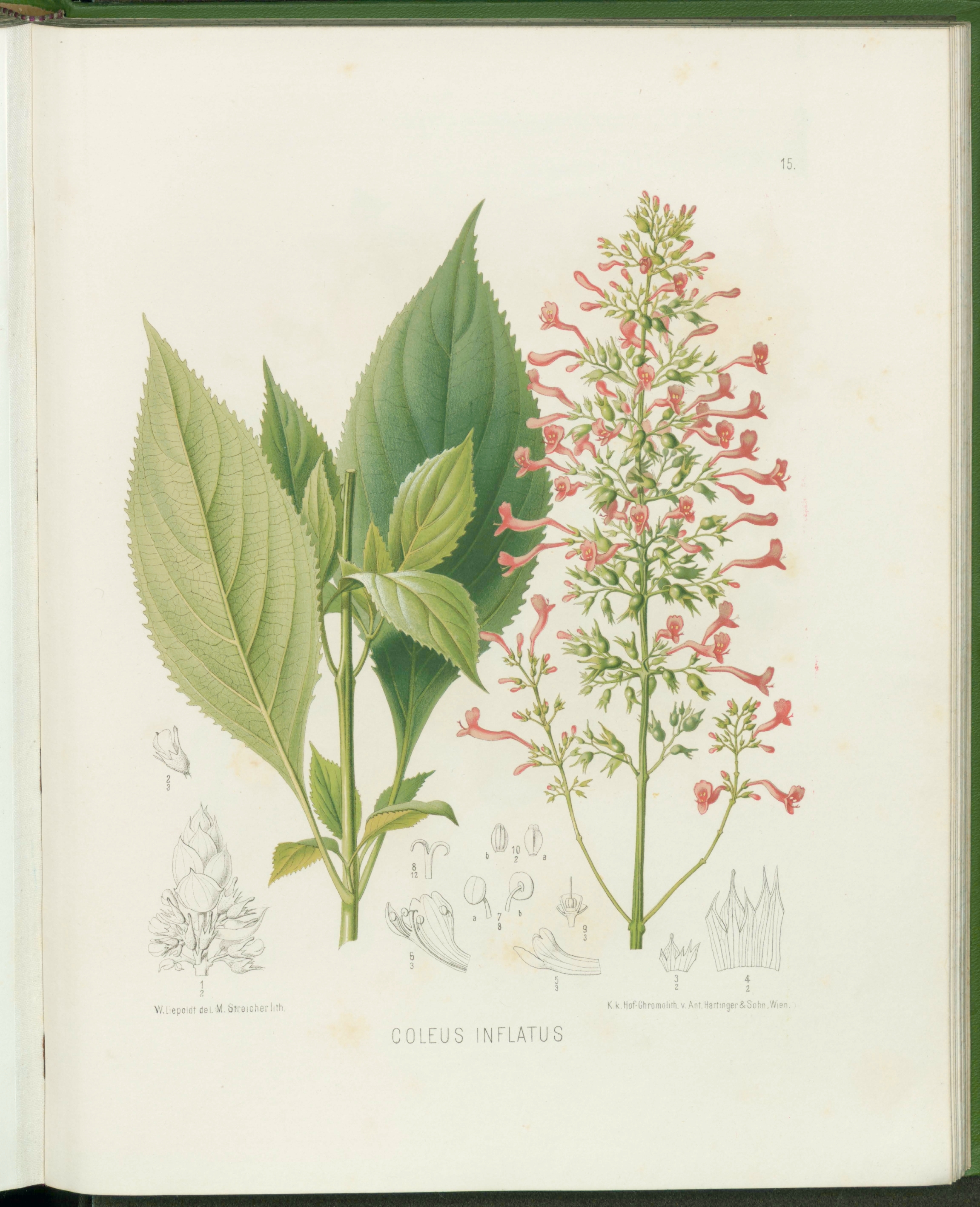 no full size  illustration available (3a)