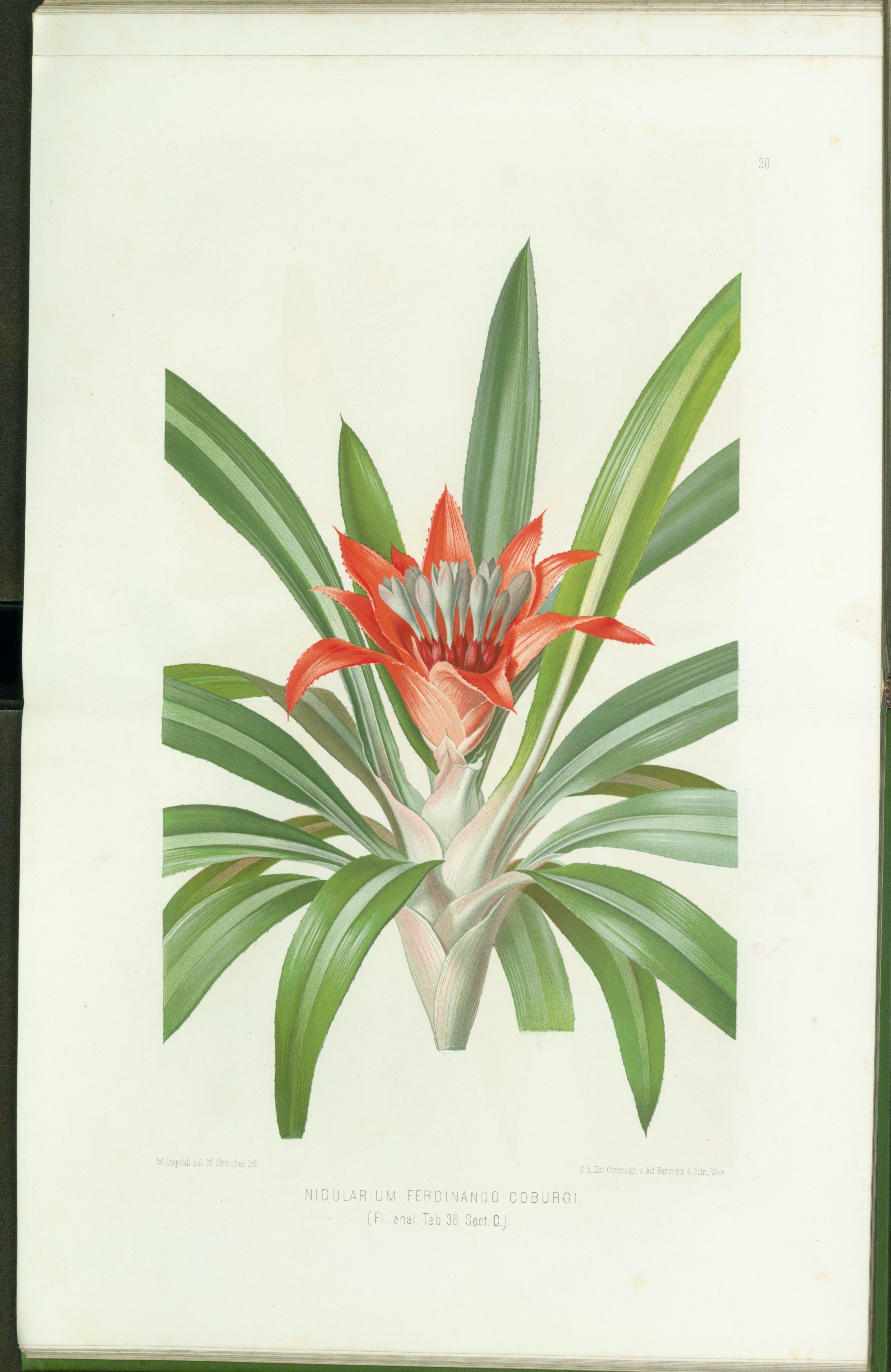 no full size  illustration available (3a)