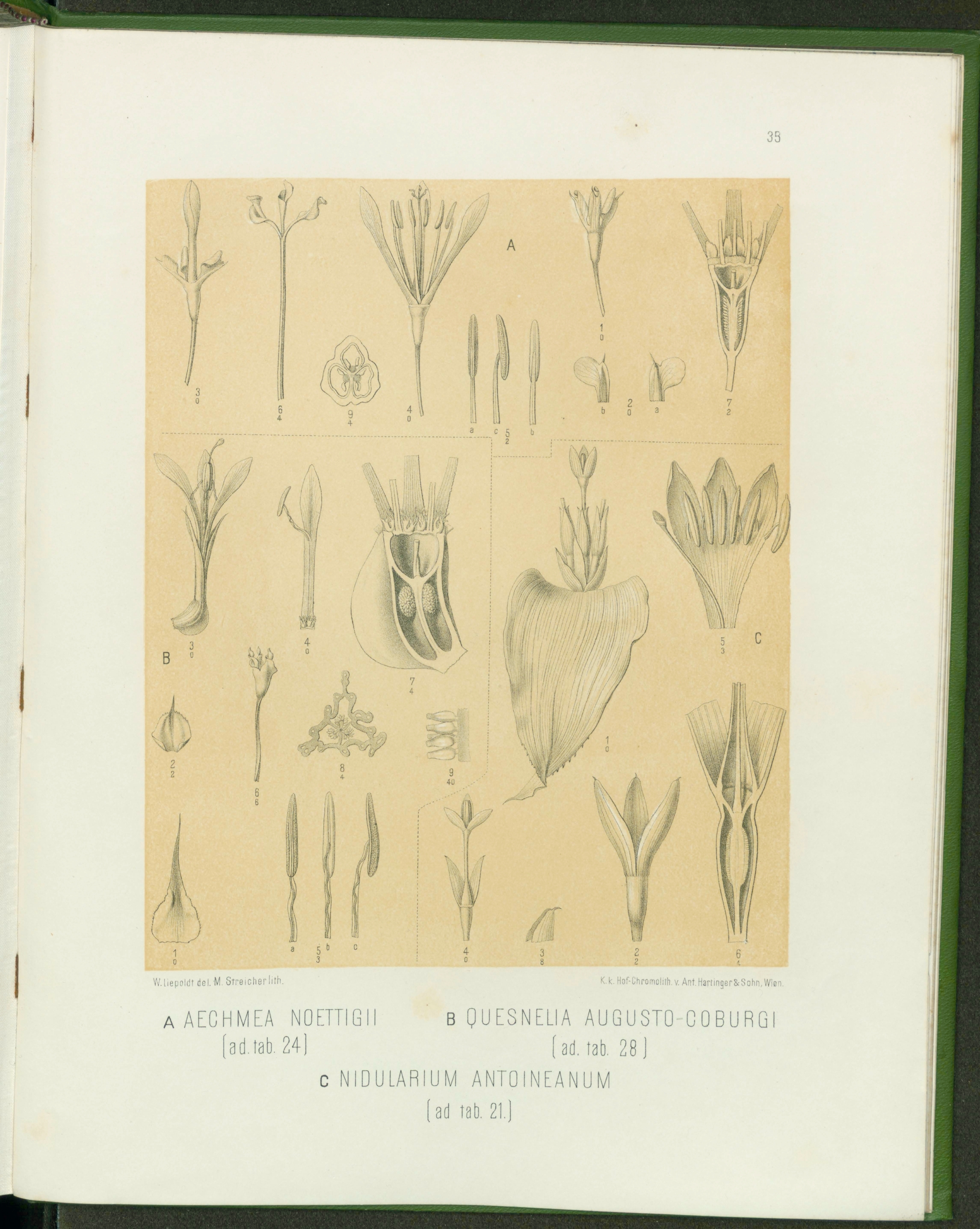 no full size  illustration available (3a)