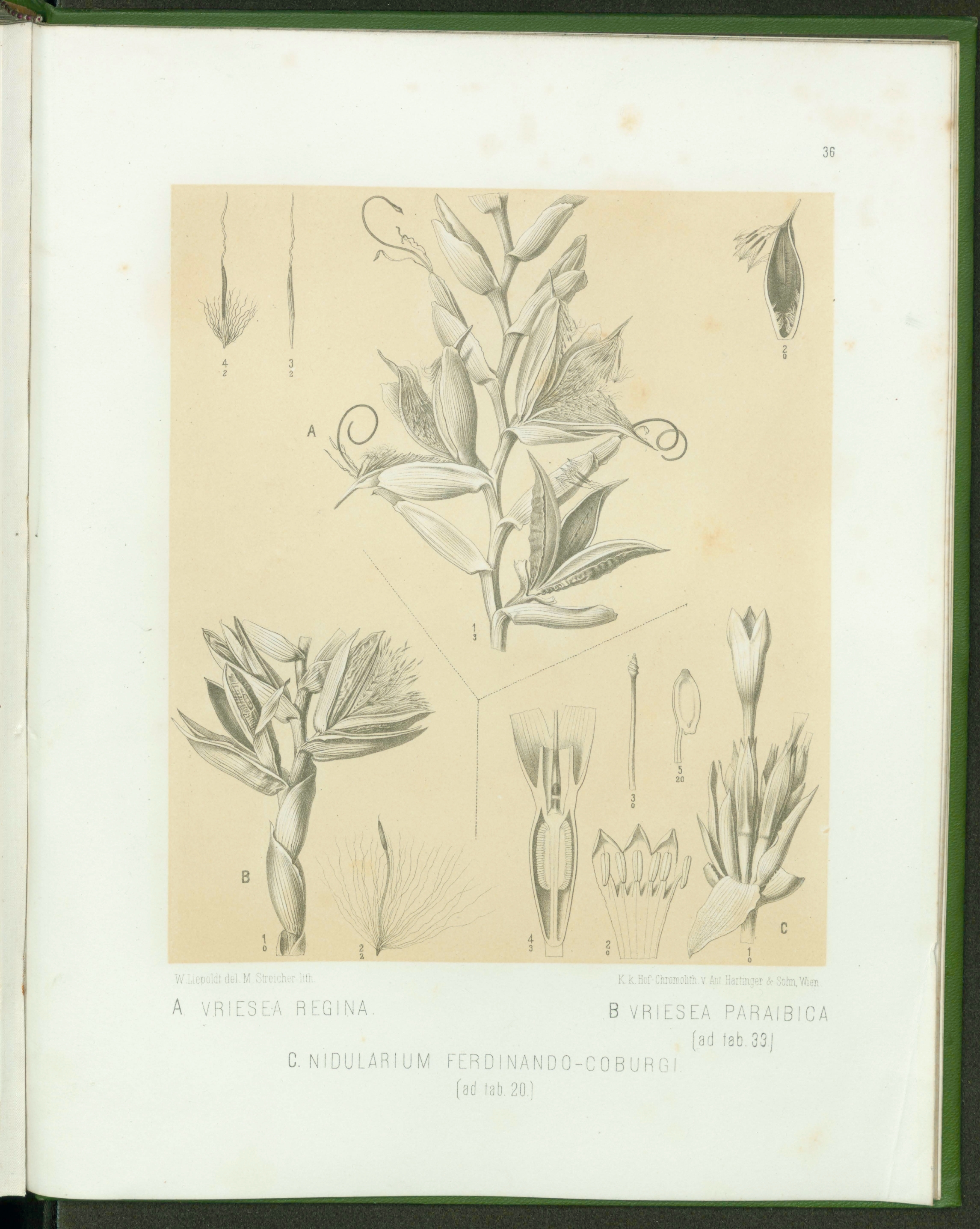 no full size  illustration available (3a)