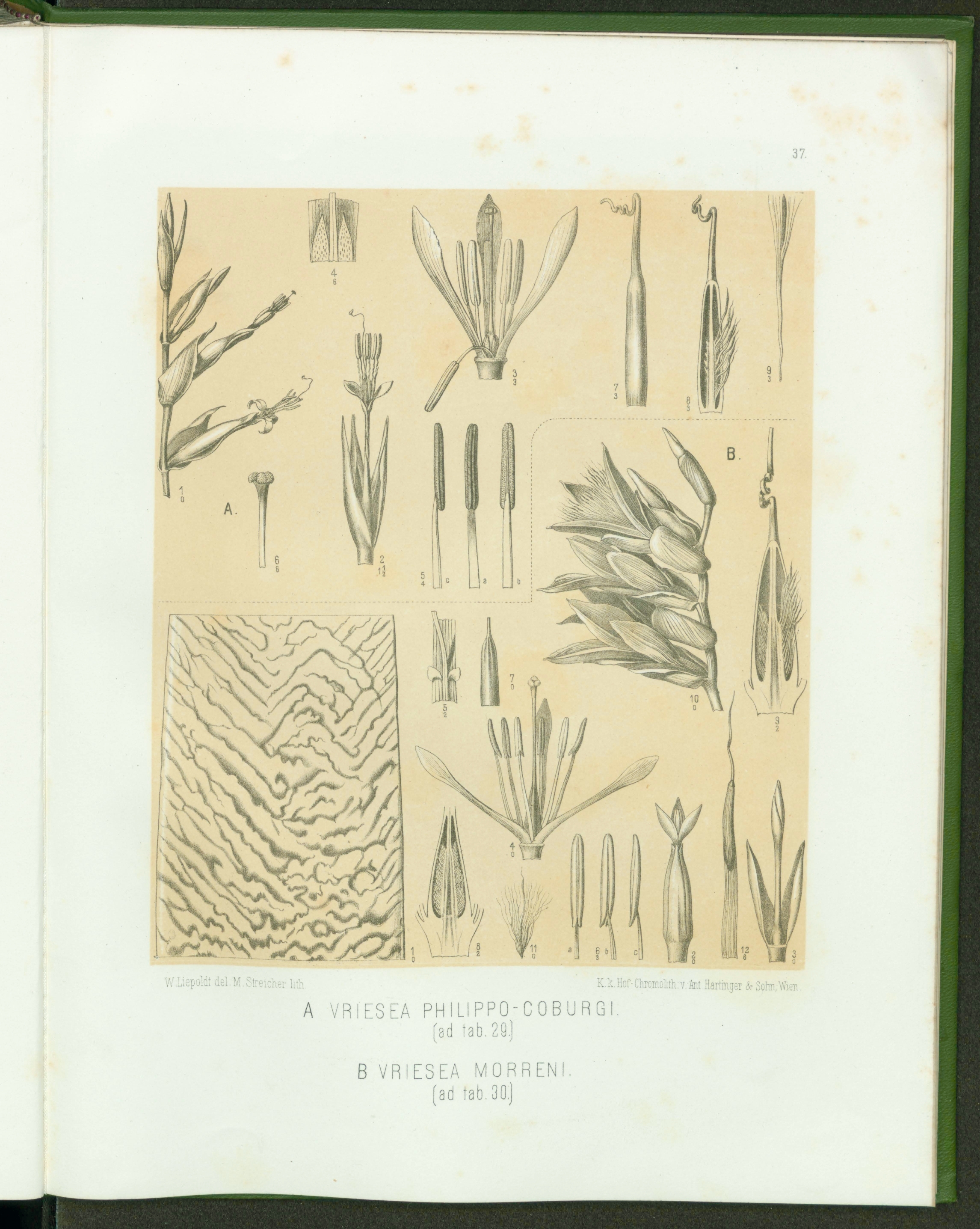 no full size  illustration available (3a)