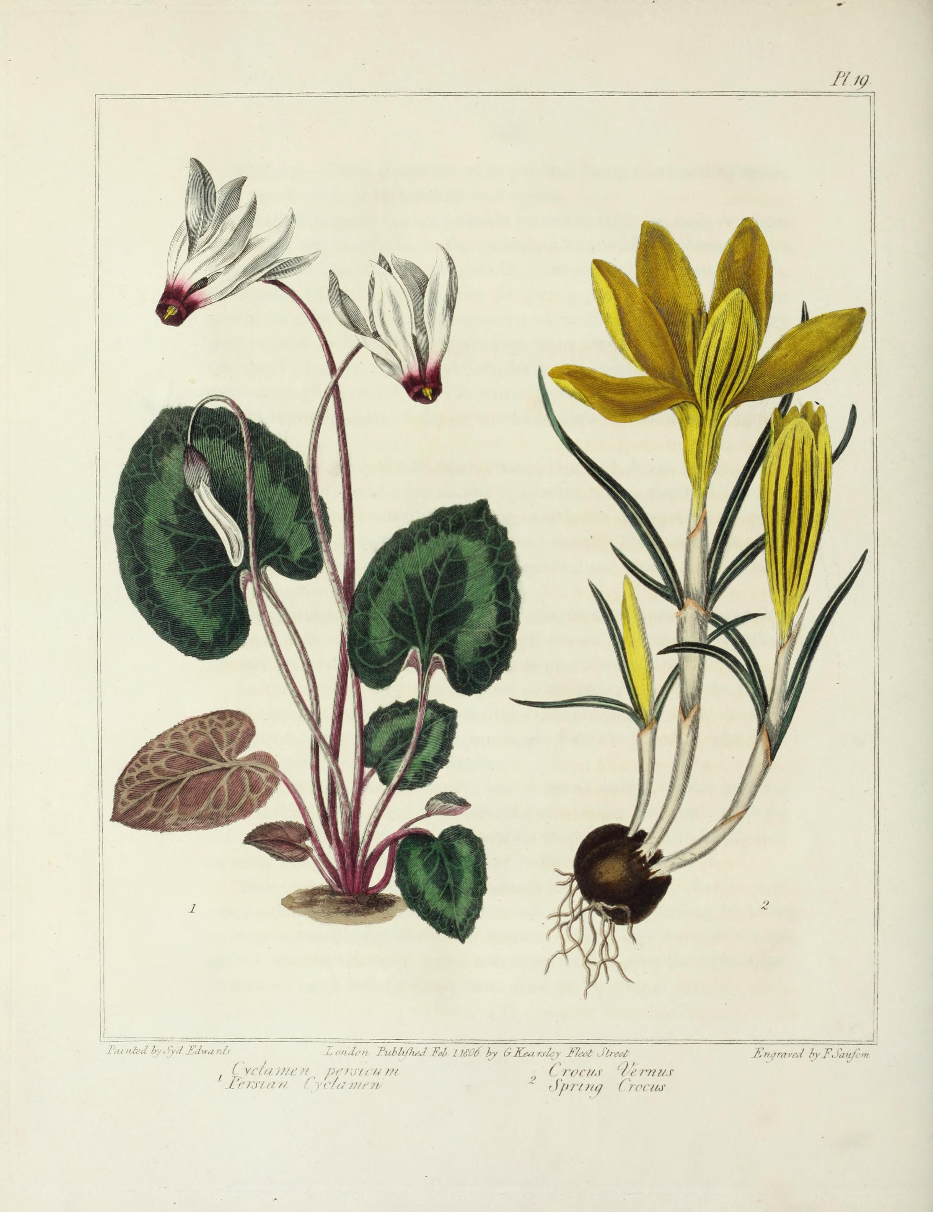 no full size  illustration available (3a)