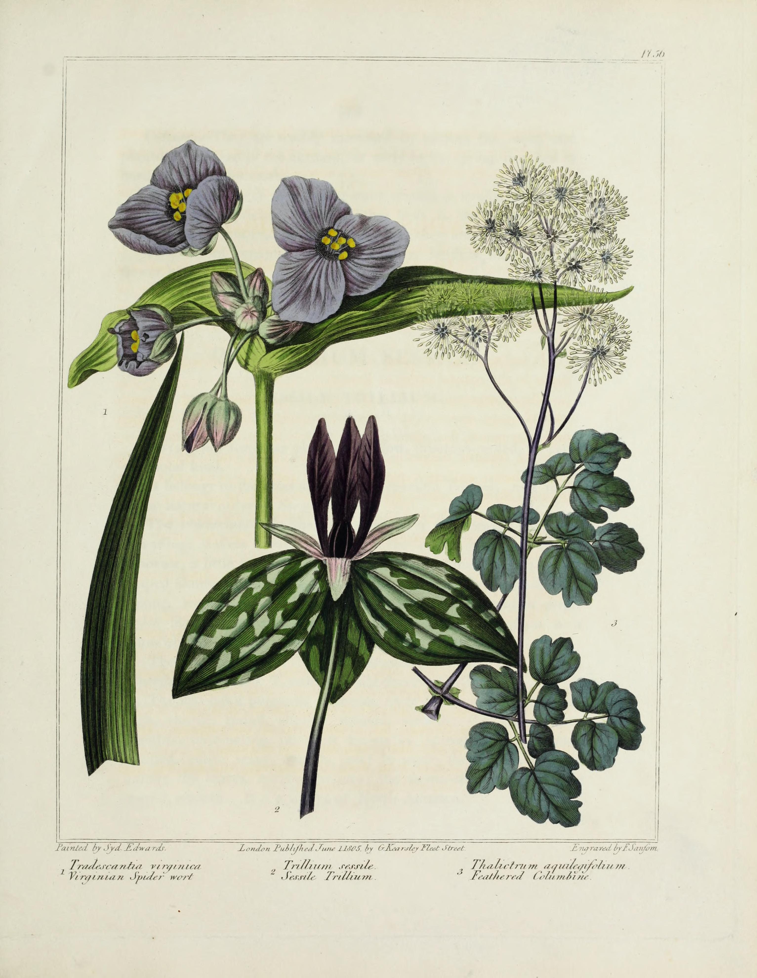 no full size  illustration available (3a)