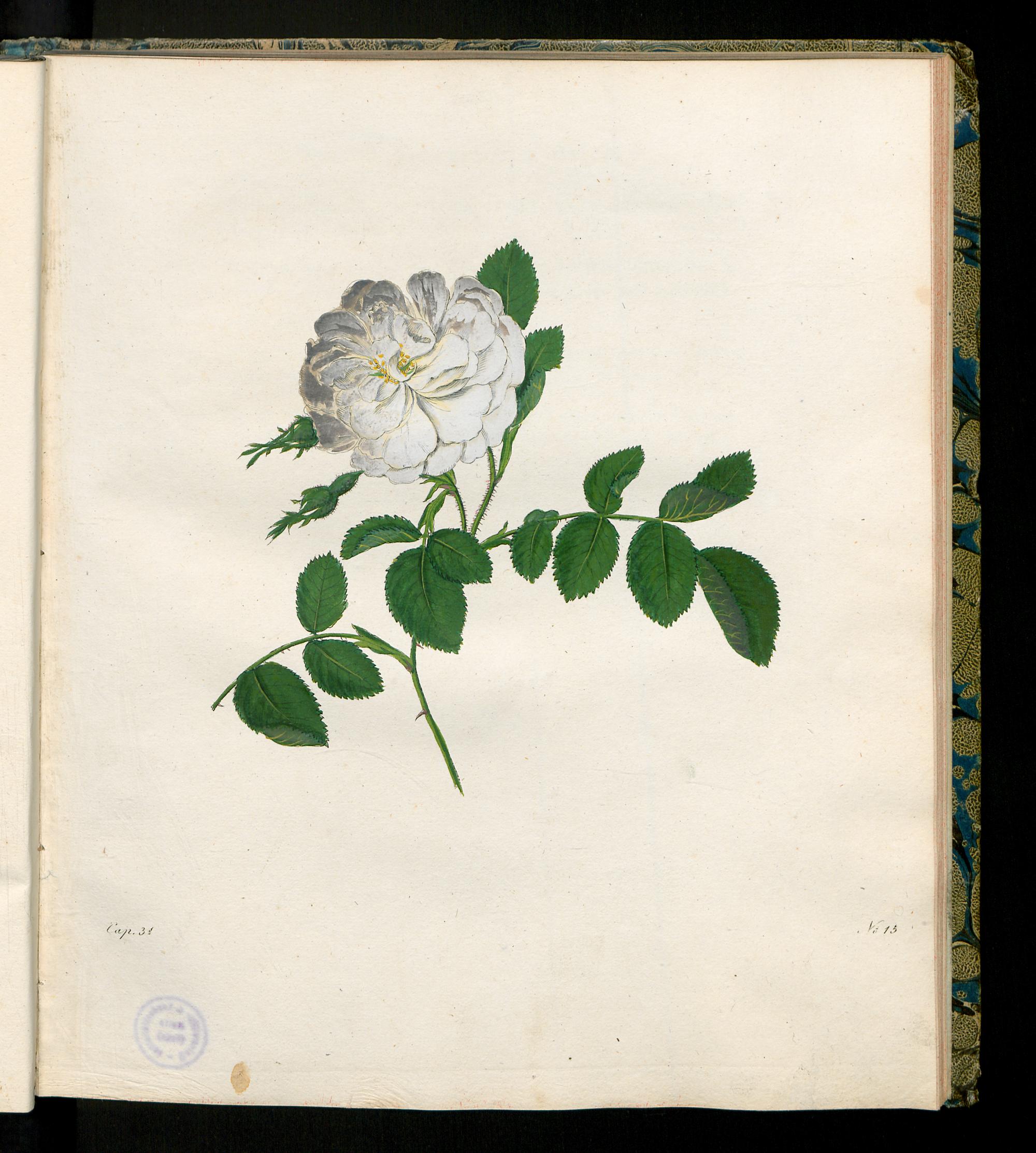 no full size  illustration available (3a)