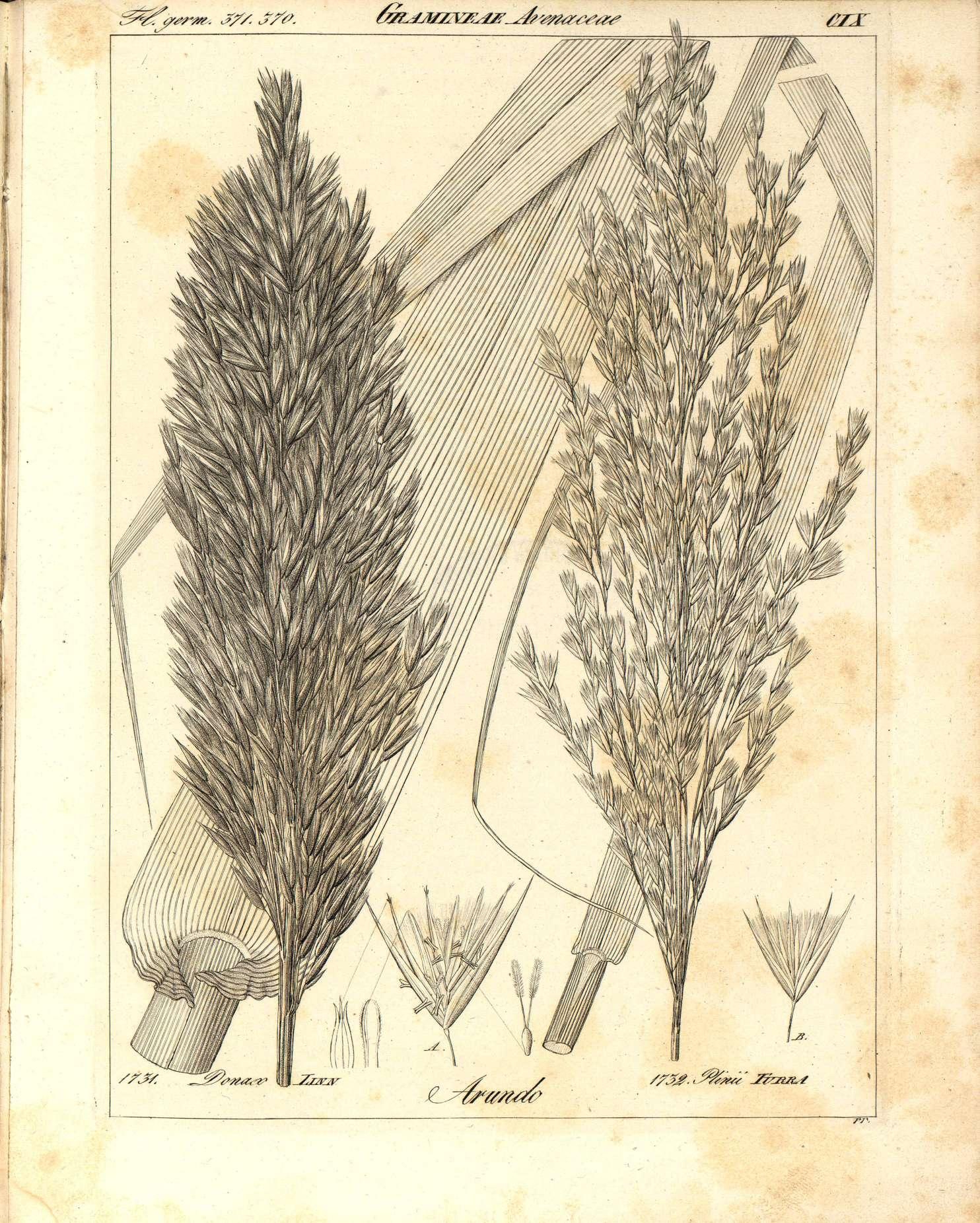 no full size  illustration available (3a)