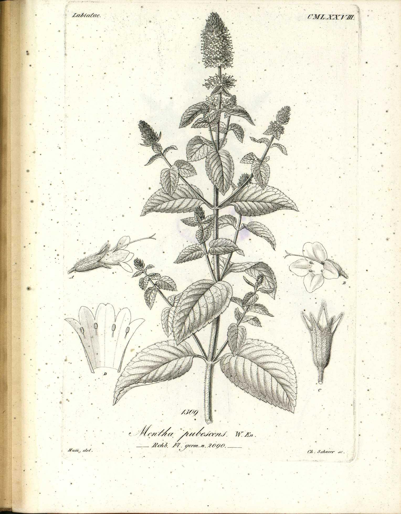 no full size  illustration available (3a)