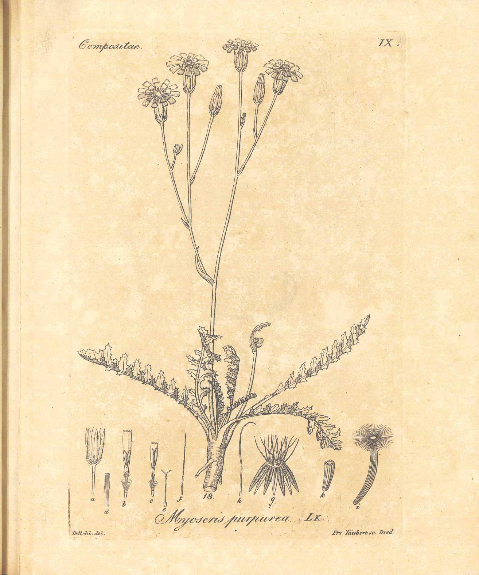 no full size  illustration available (3a)