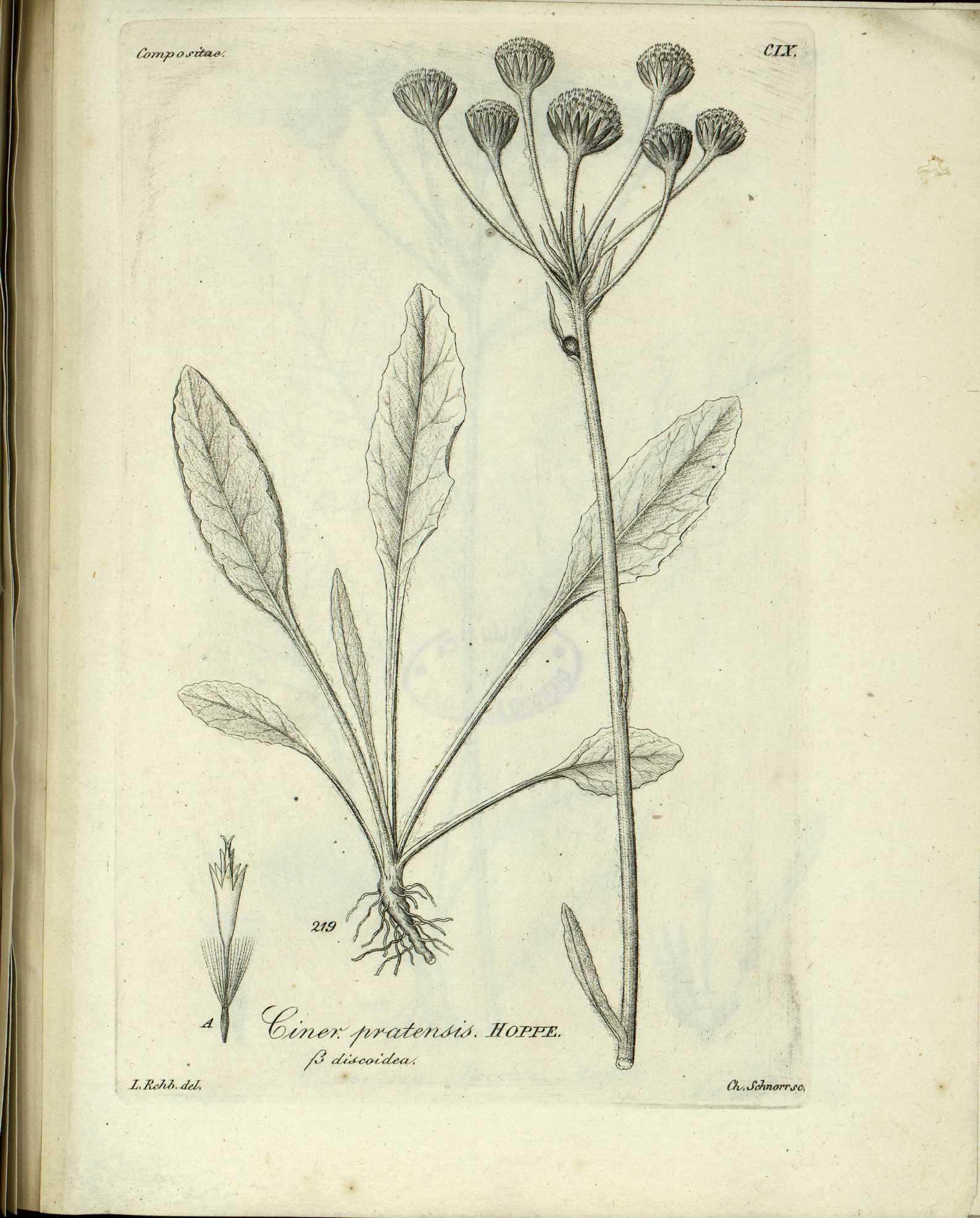 no full size  illustration available (3a)