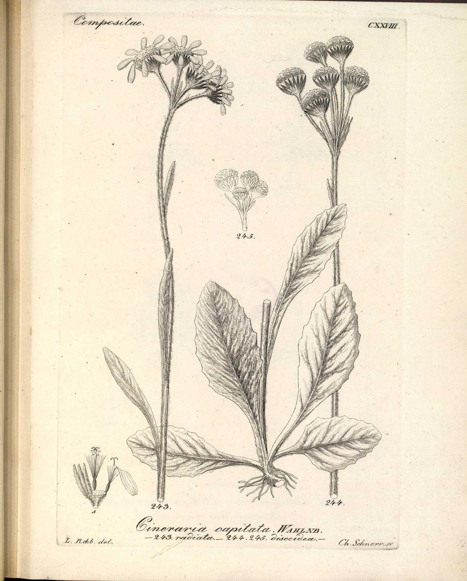 no full size  illustration available (3a)