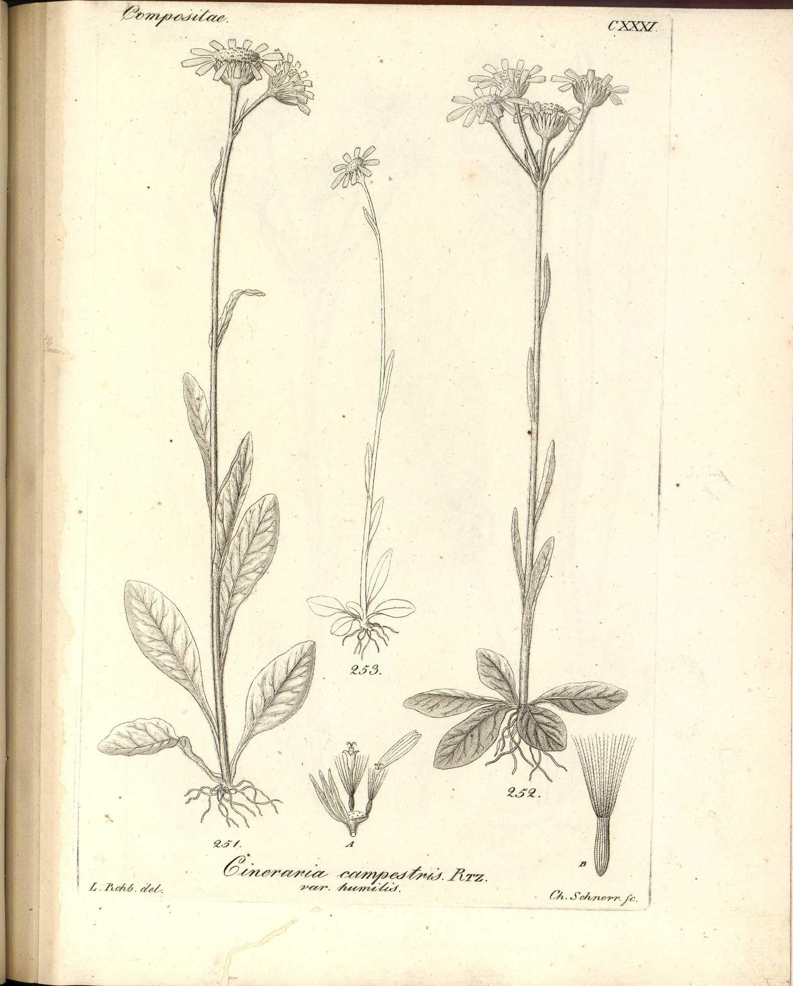 no full size  illustration available (3a)