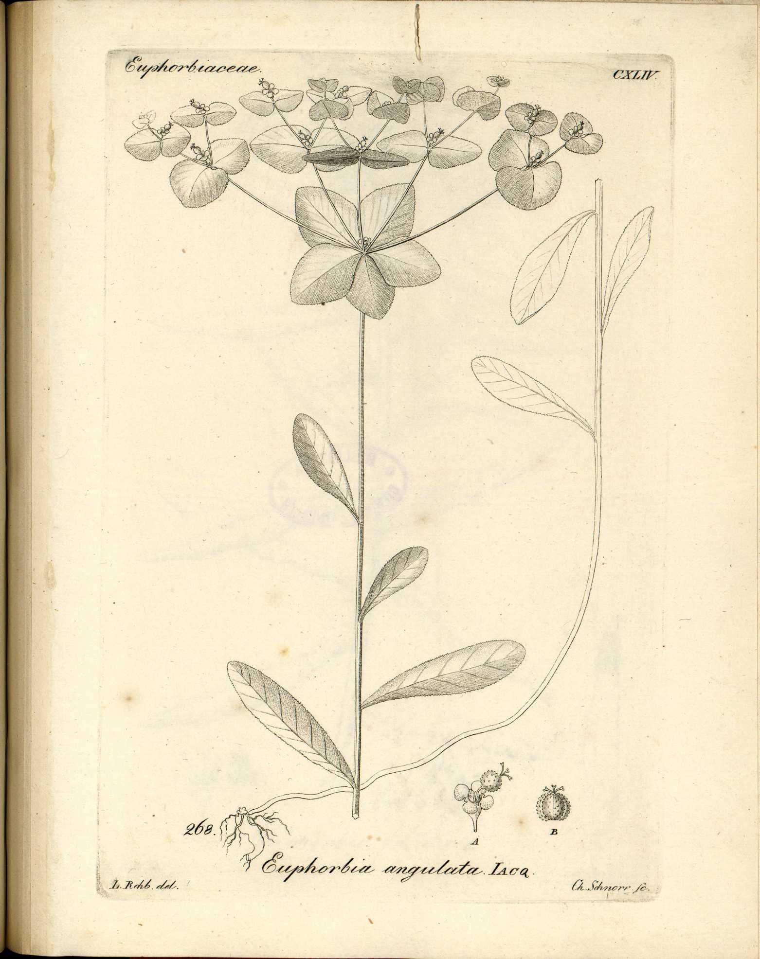 no full size  illustration available (3a)