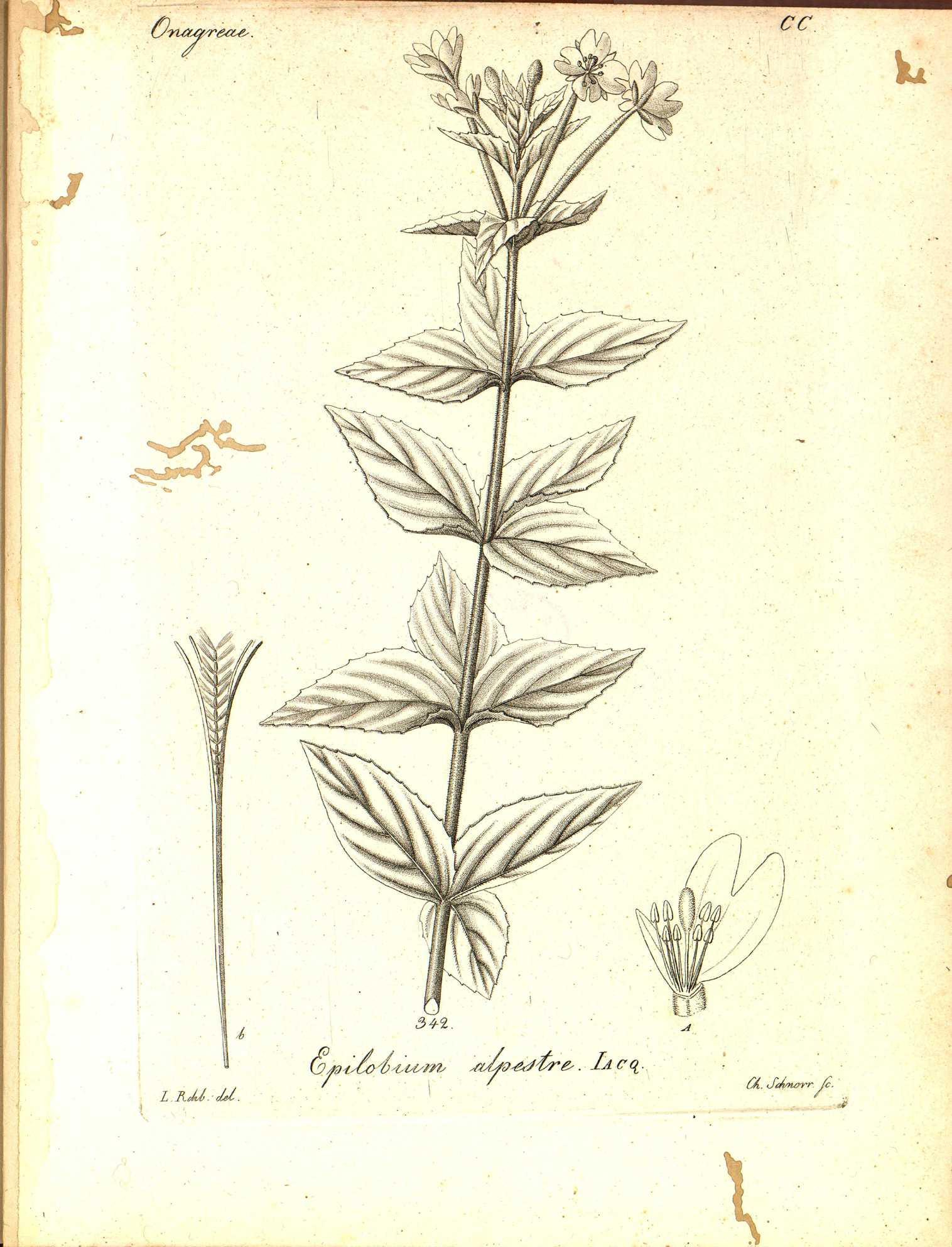 no full size  illustration available (3a)