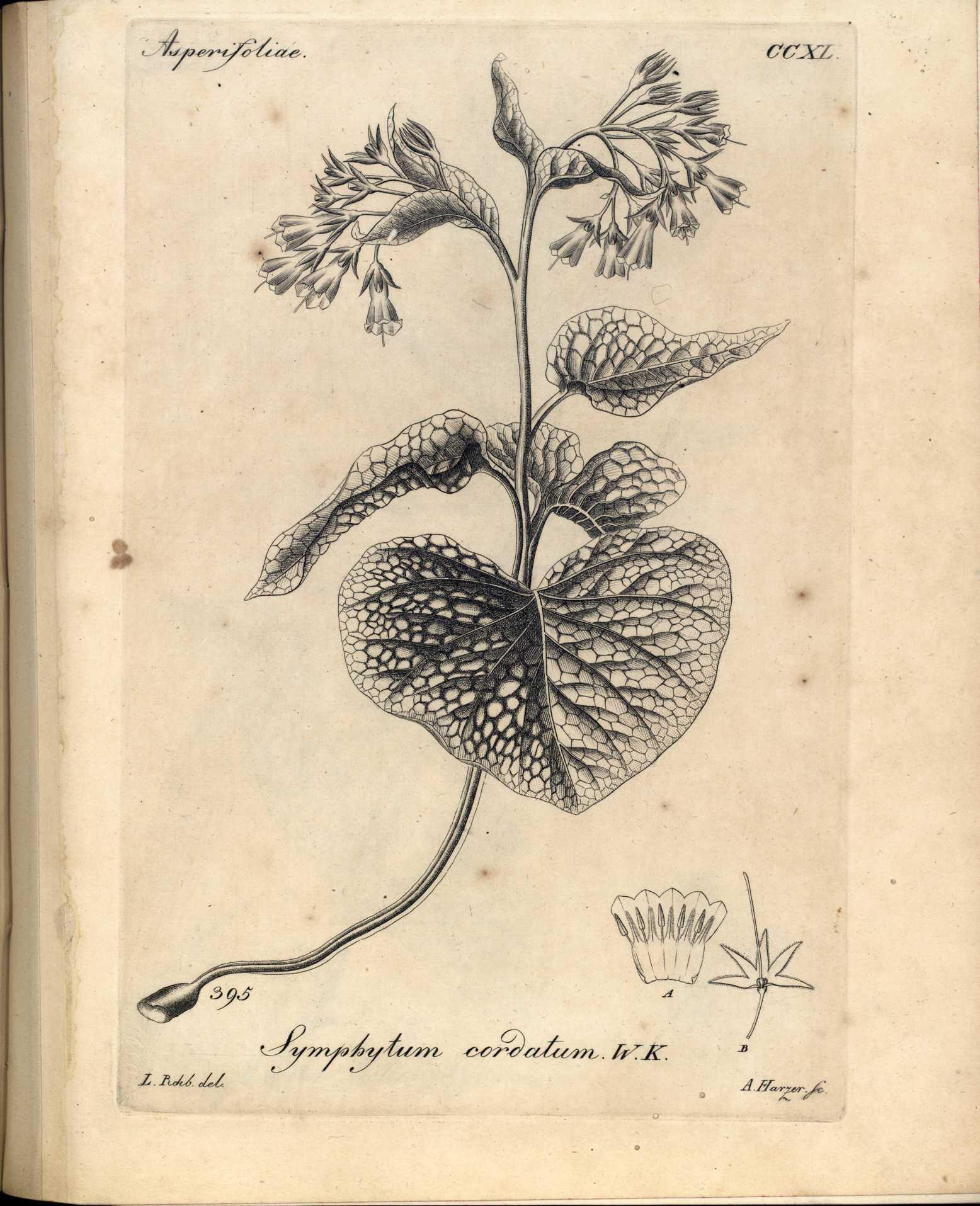 no full size  illustration available (3a)