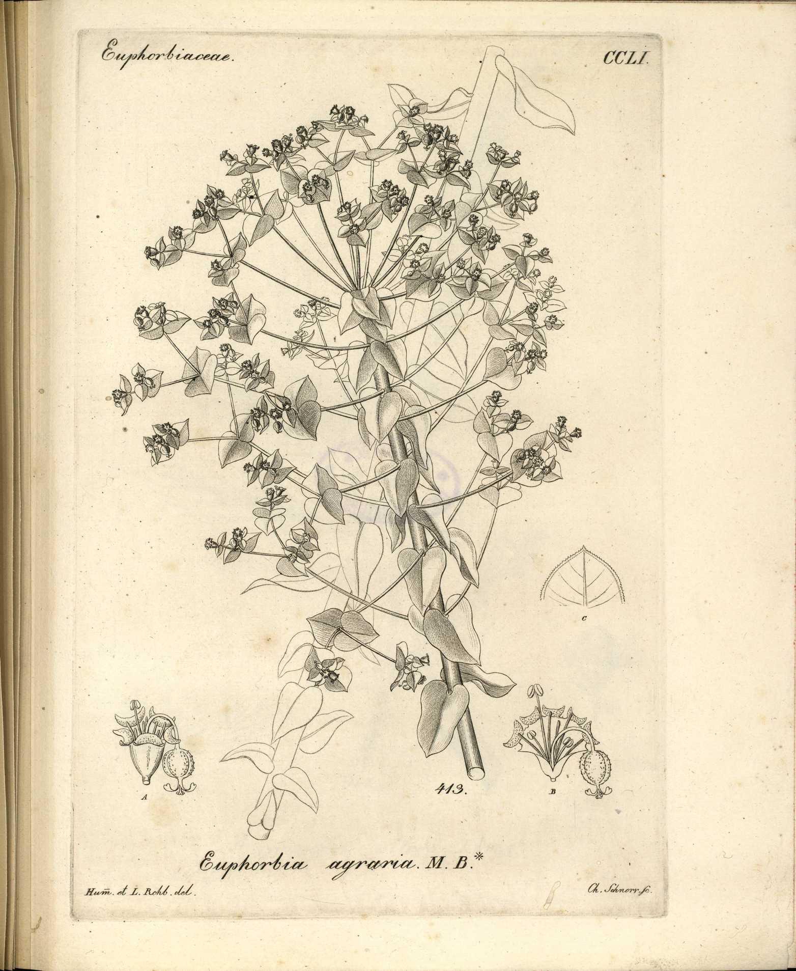 no full size  illustration available (3a)