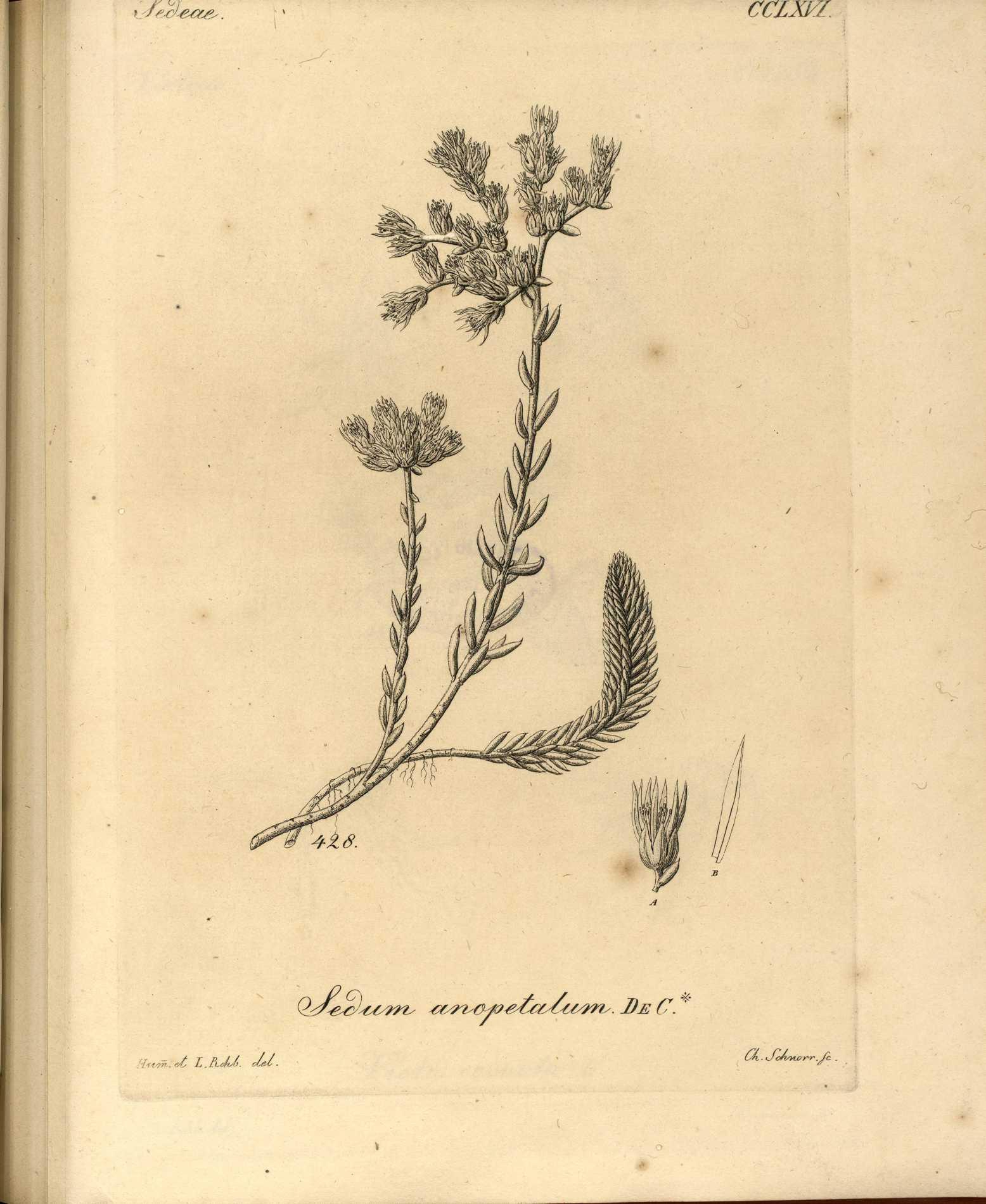 no full size  illustration available (3a)