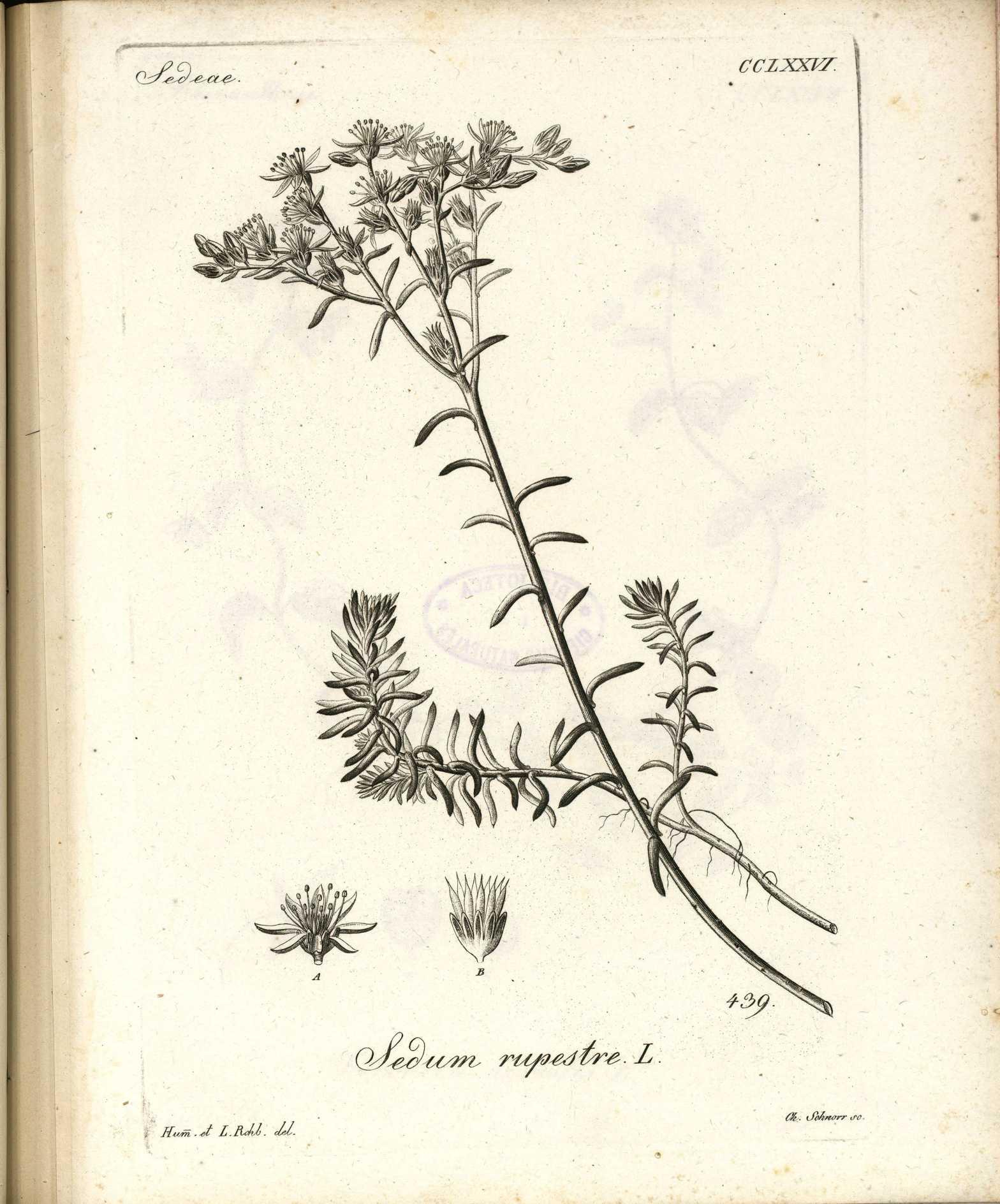 no full size  illustration available (3a)