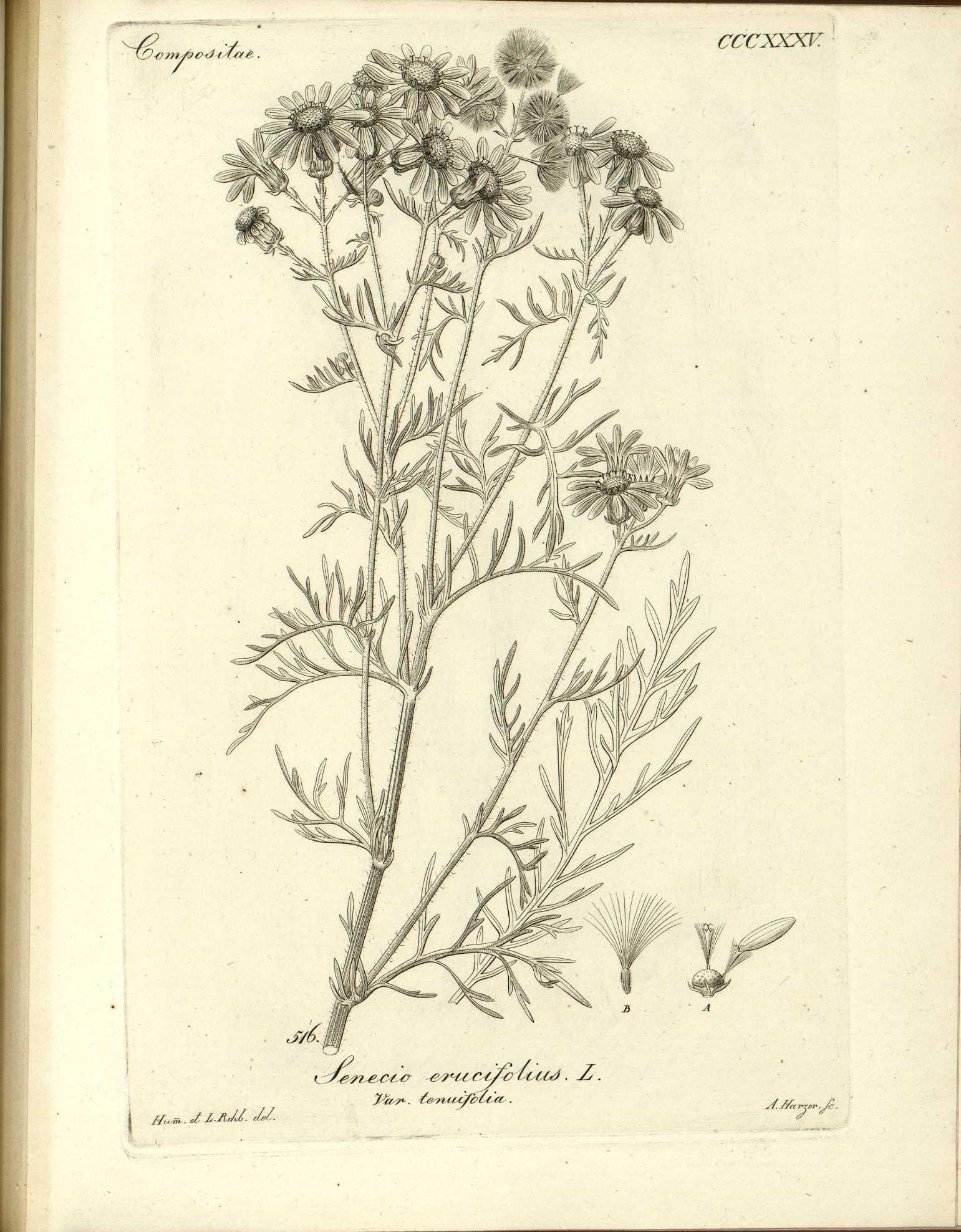 no full size  illustration available (3a)