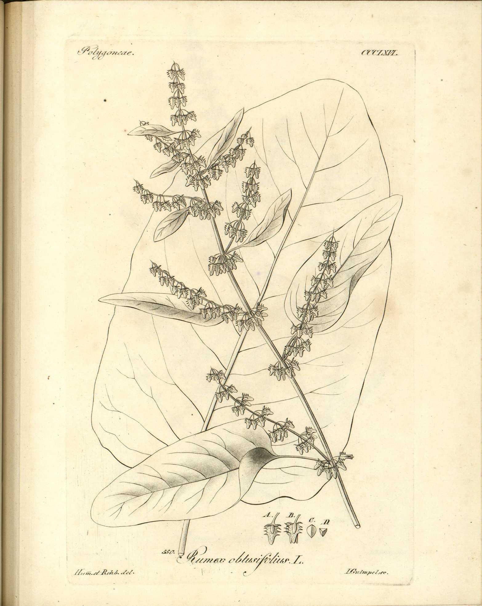 no full size  illustration available (3a)