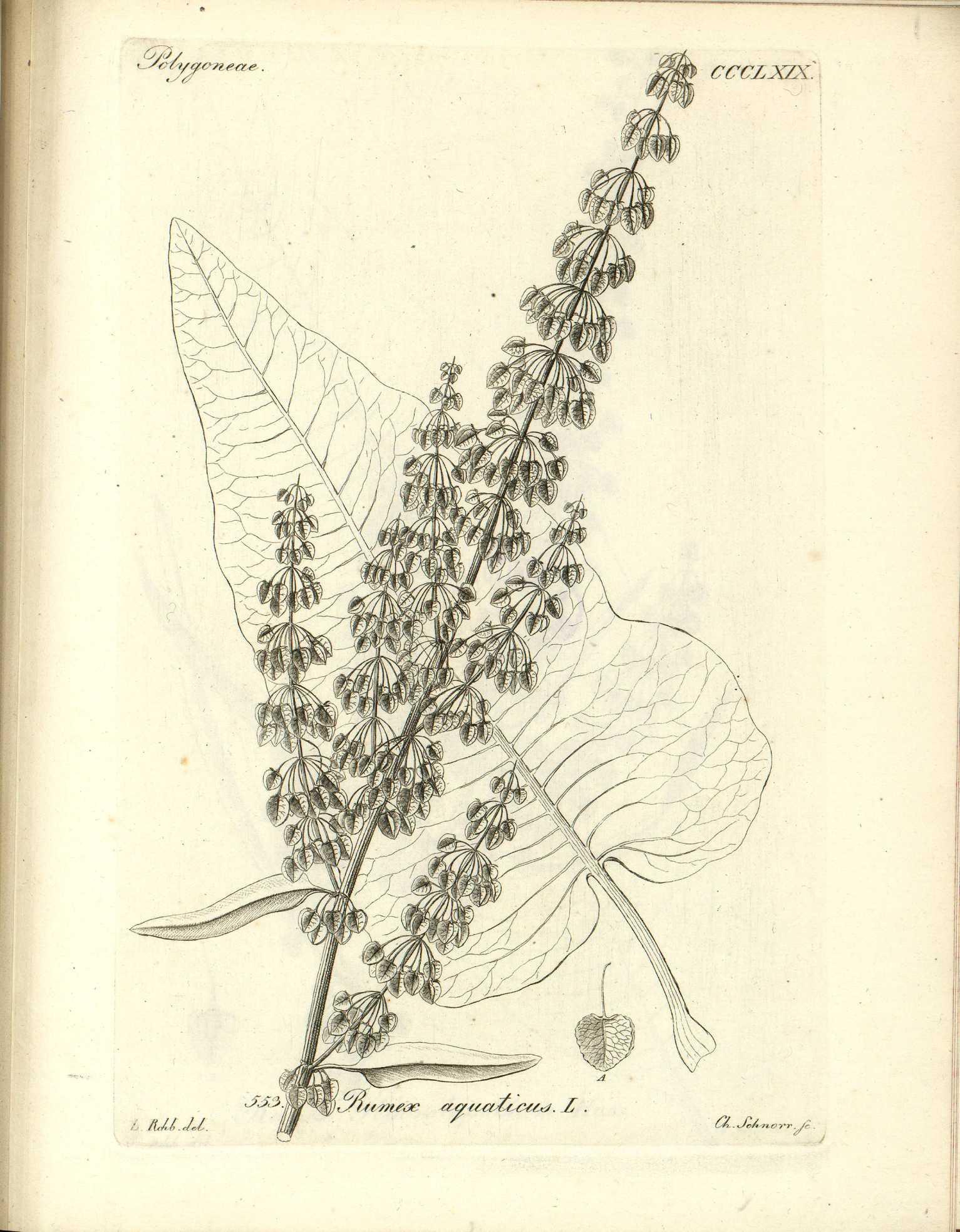 no full size  illustration available (3a)