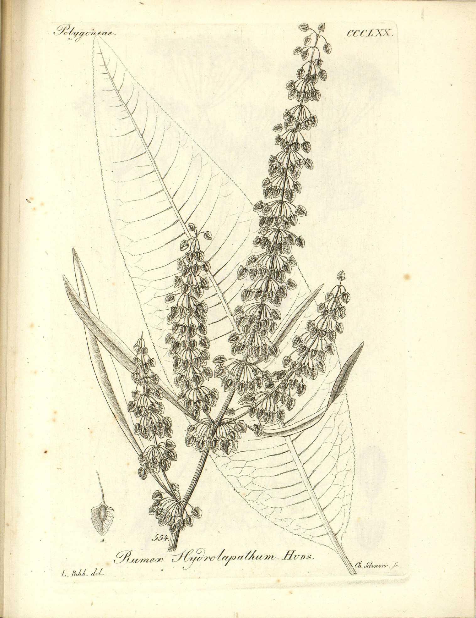 no full size  illustration available (3a)