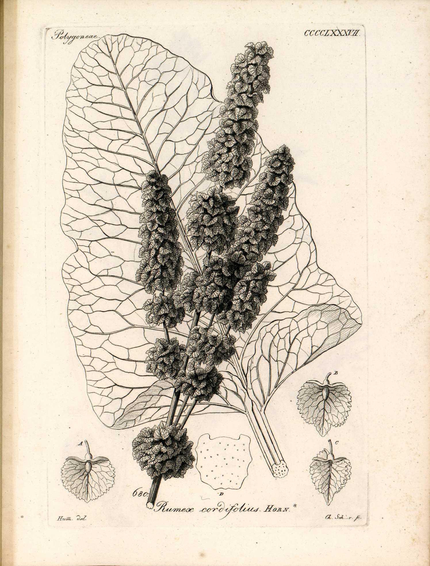 no full size  illustration available (3a)