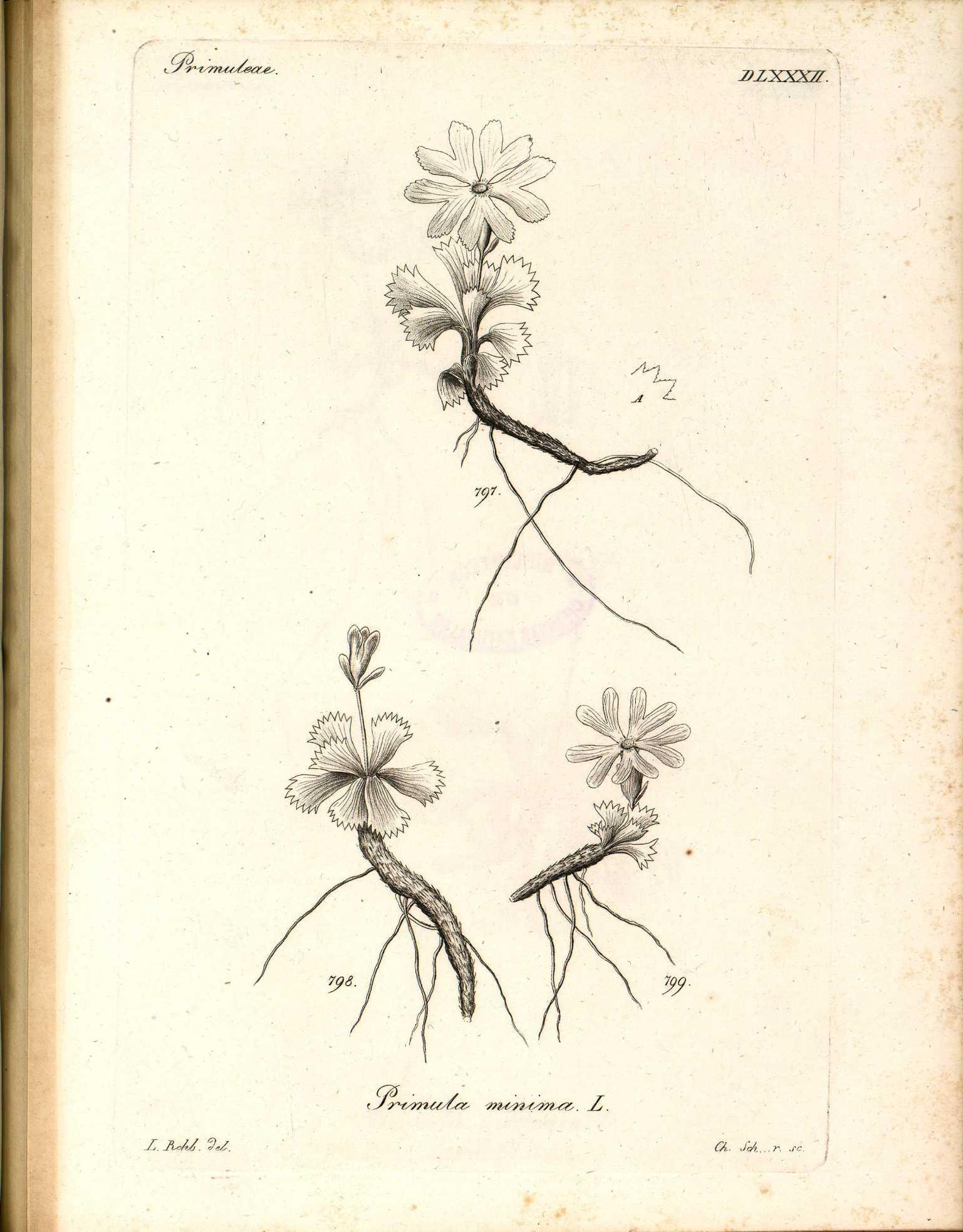 no full size  illustration available (3a)