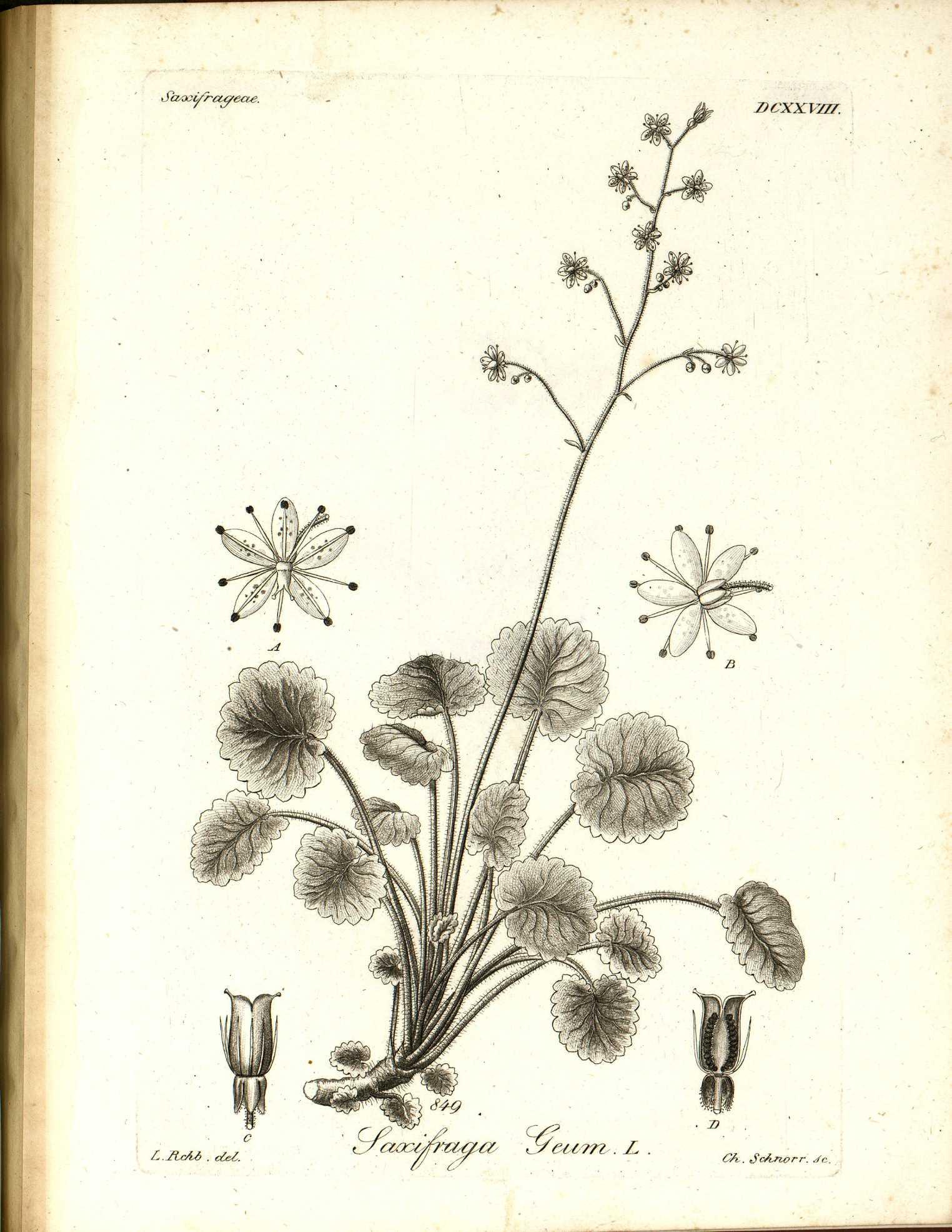 no full size  illustration available (3a)