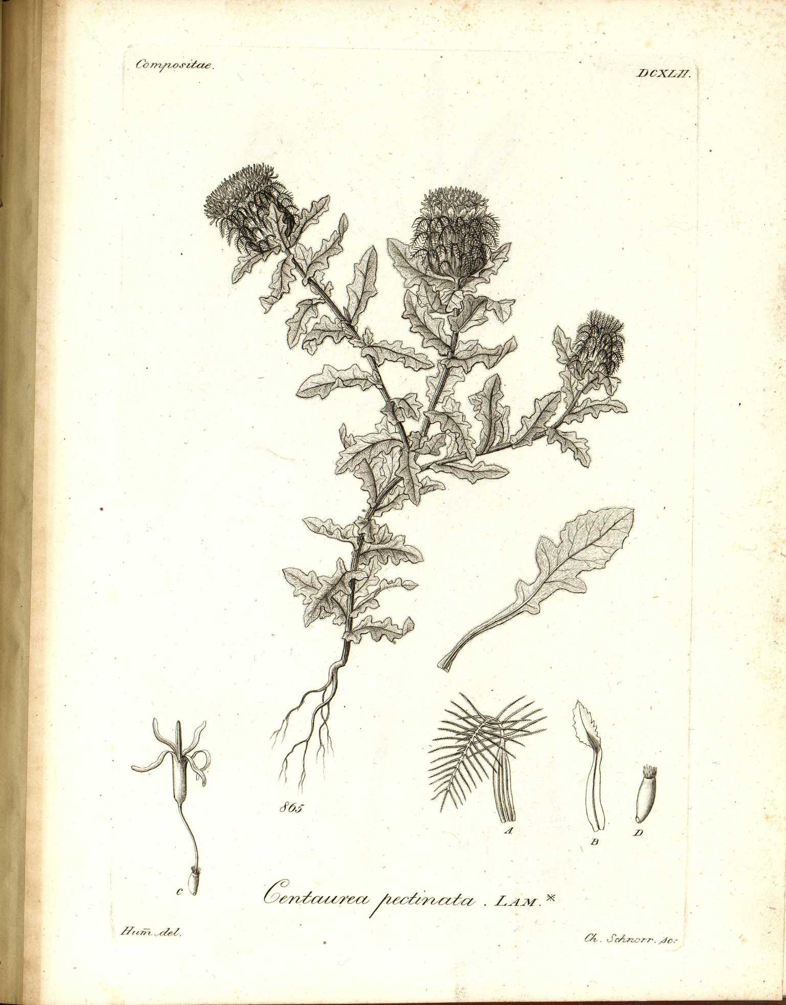 no full size  illustration available (3a)